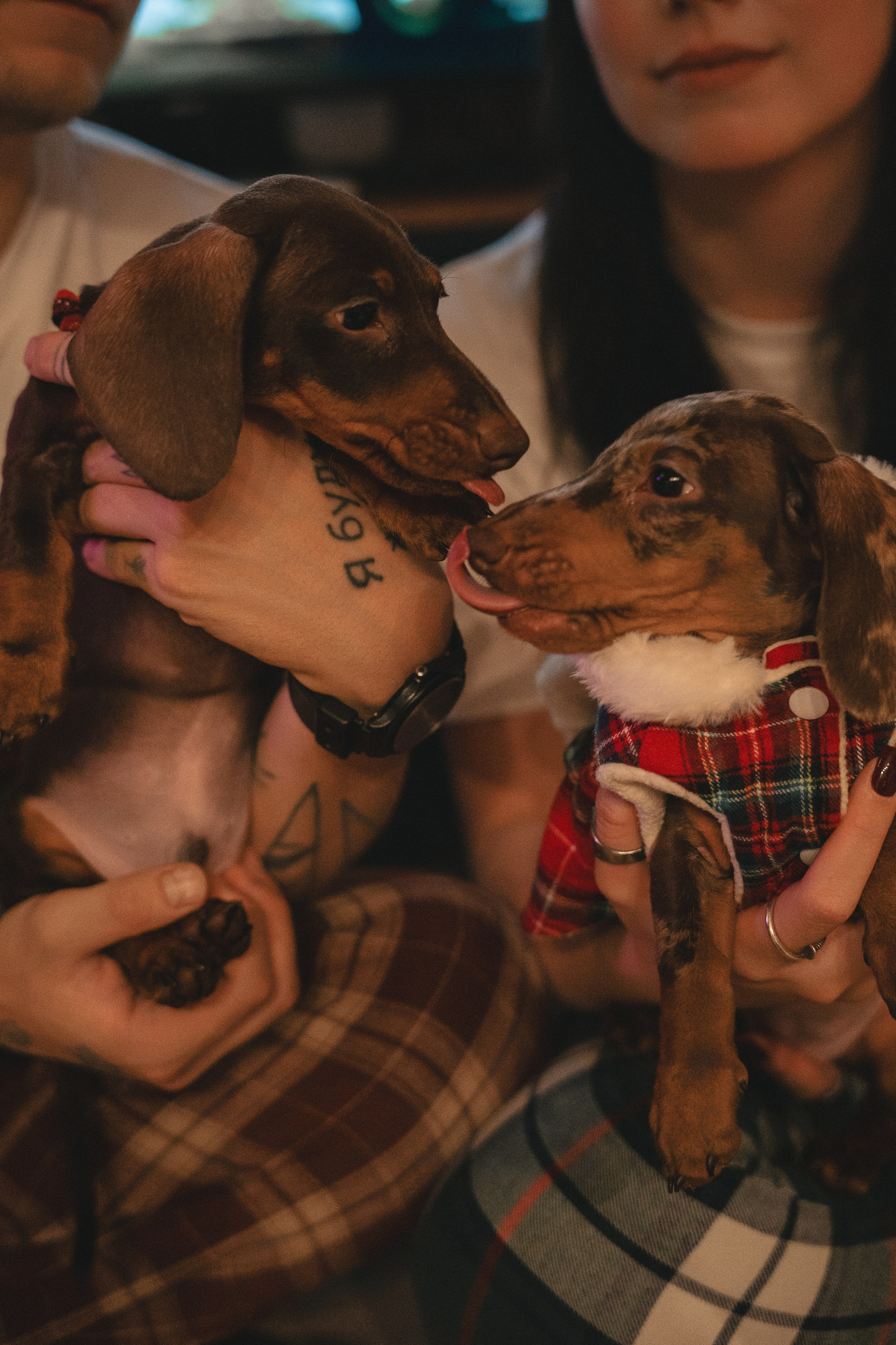 Яна&Тема. Лавстори. Фотограф/рилсмейкер в Москве и МО. Свадьбы, индивидуальные съемки, лавстори, беременность, мероприятия, бренды