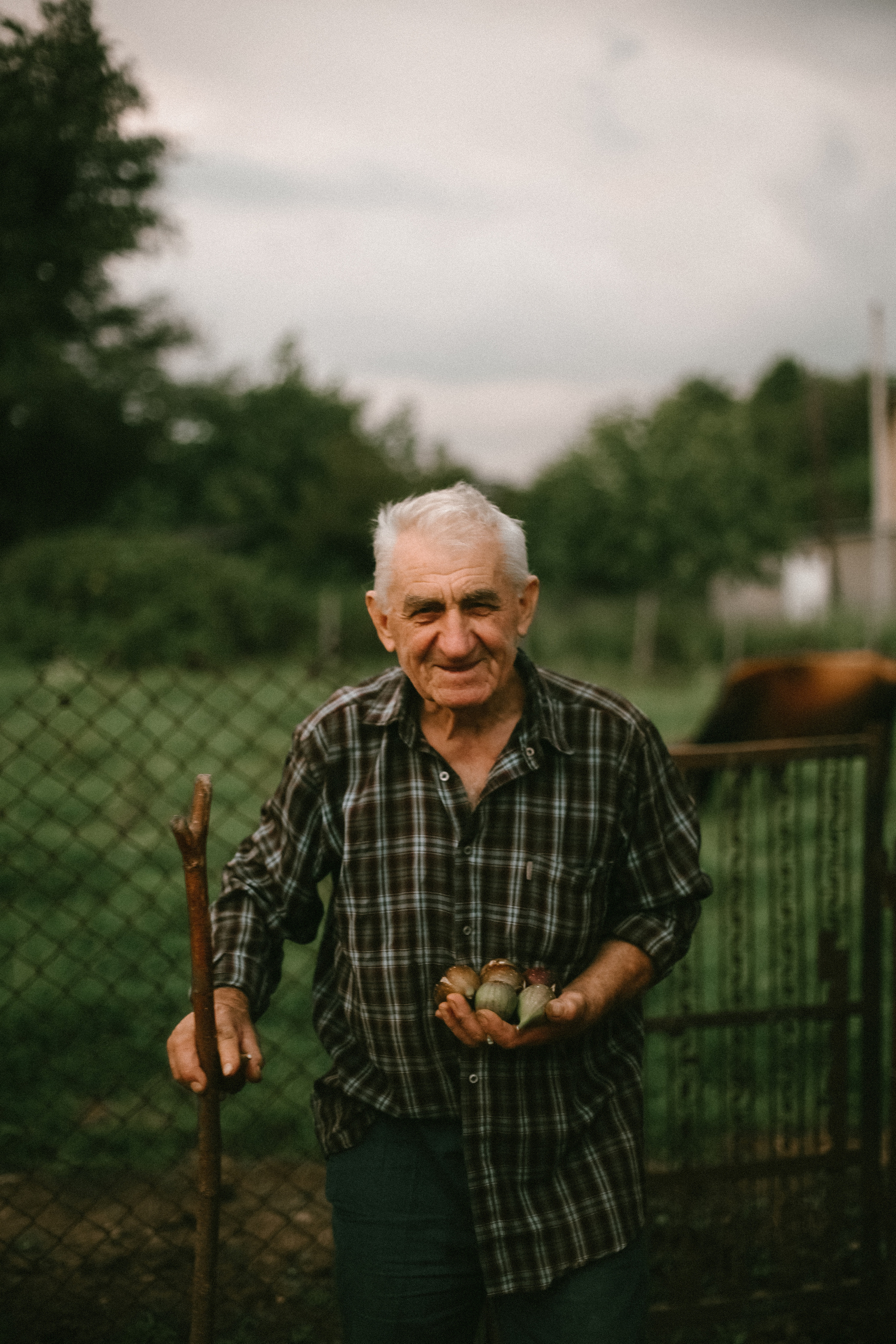 Preset pack «Vintage». Фотограф