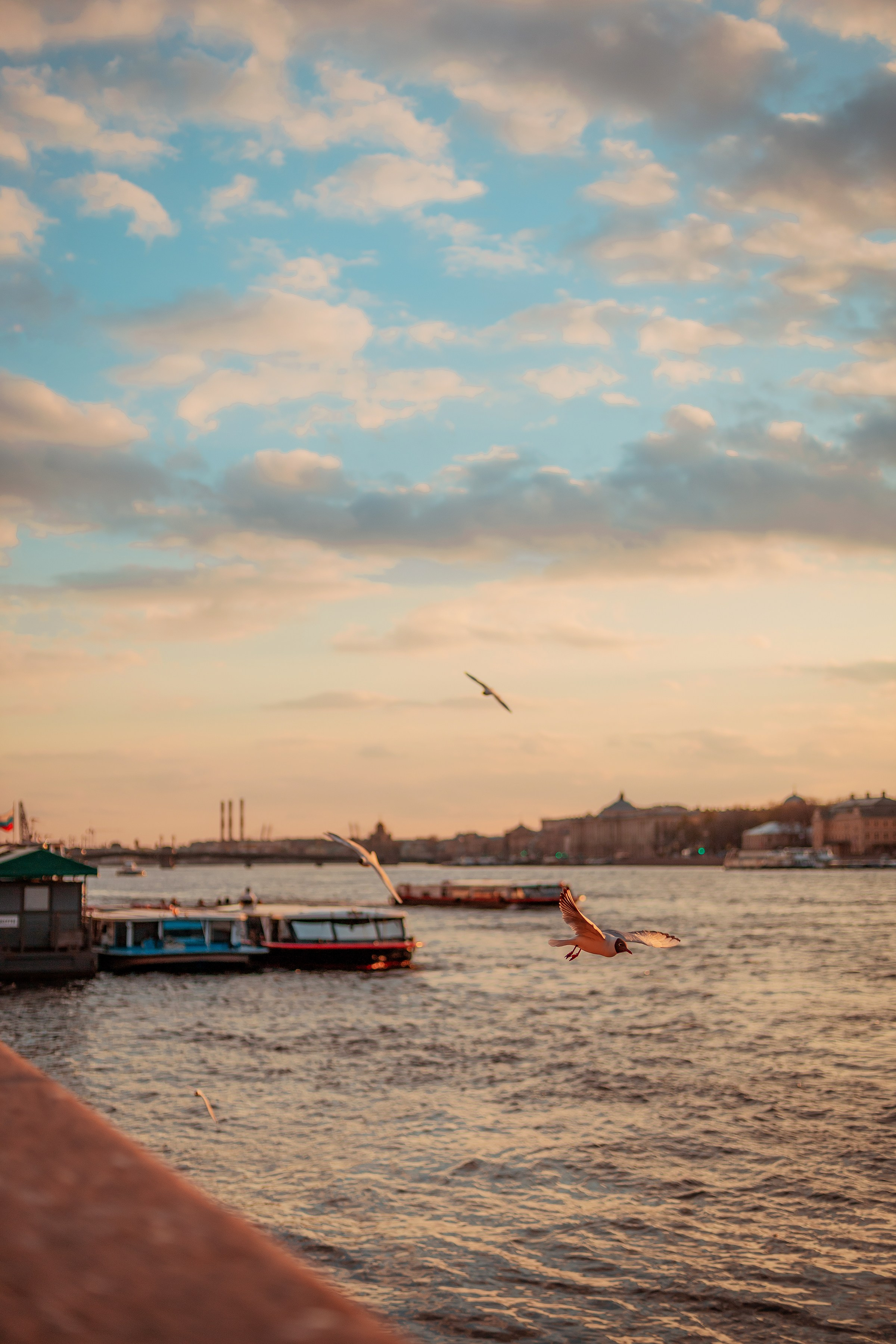 Портфолио. Семейный и детский фотограф в Москве Артём Жигурс