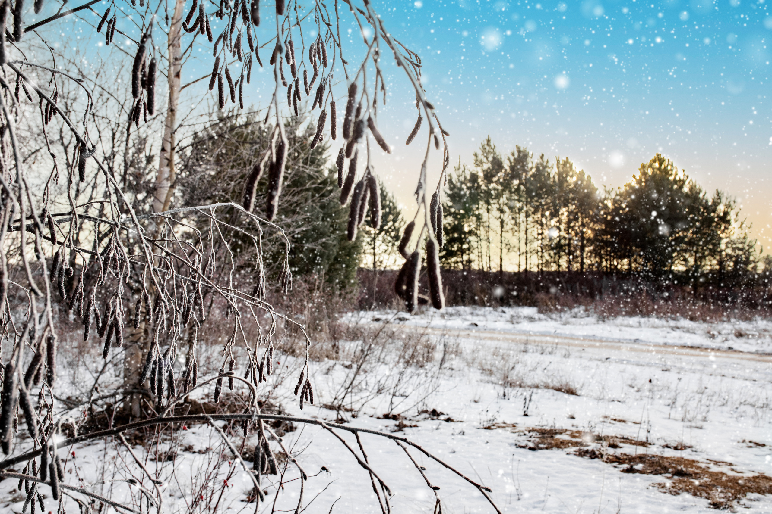 Коттеджный поселок «Лебединая Бухта». Усть-Качка. Декабрь 2021. Фотограф Пермь. Свадьбы. Семья и дети, школа, д. сад. Фотокниги