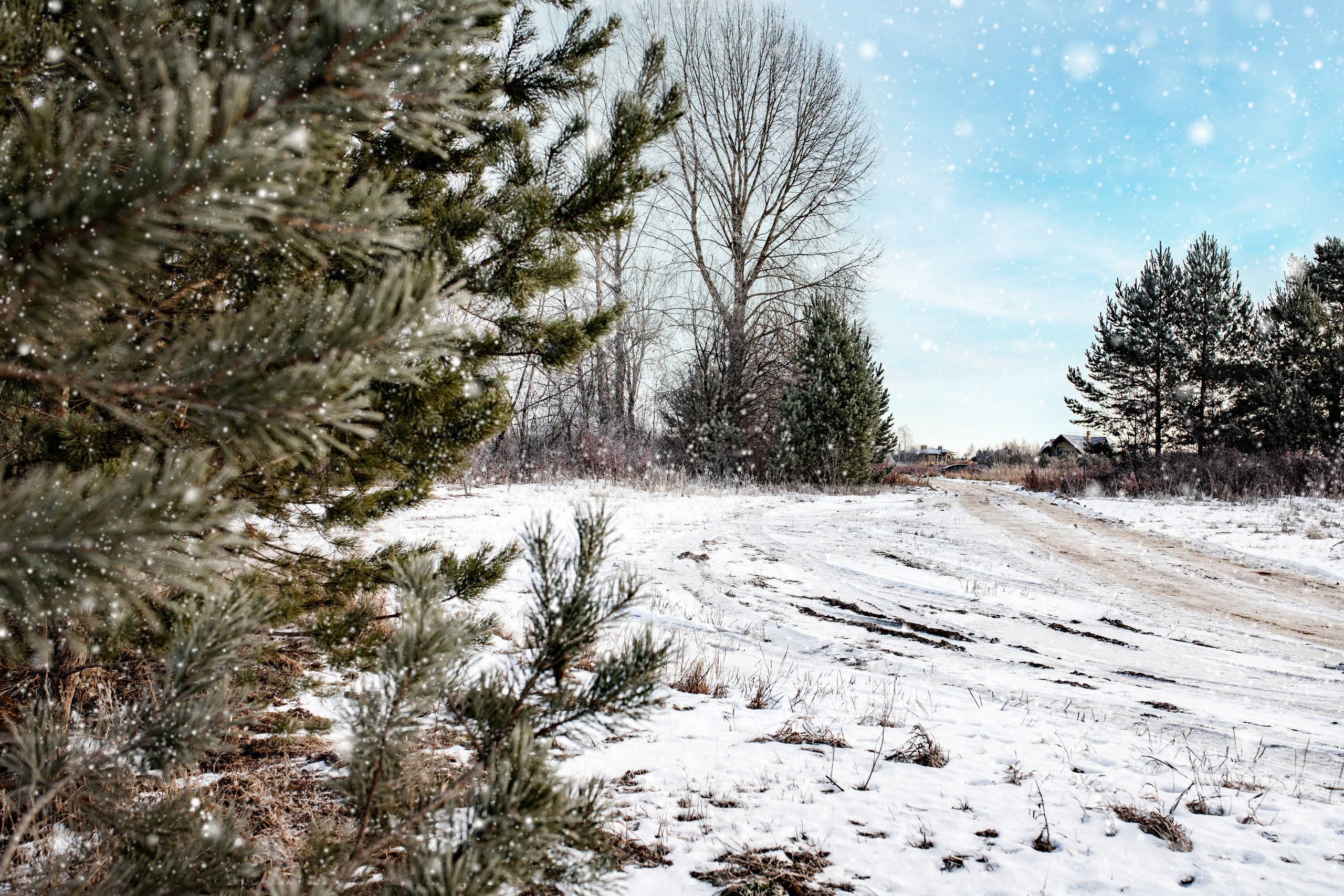 Коттеджный поселок «Лебединая Бухта». Усть-Качка. Декабрь 2021. Фотограф Пермь. Свадьбы. Семья и дети, школа, д. сад. Фотокниги