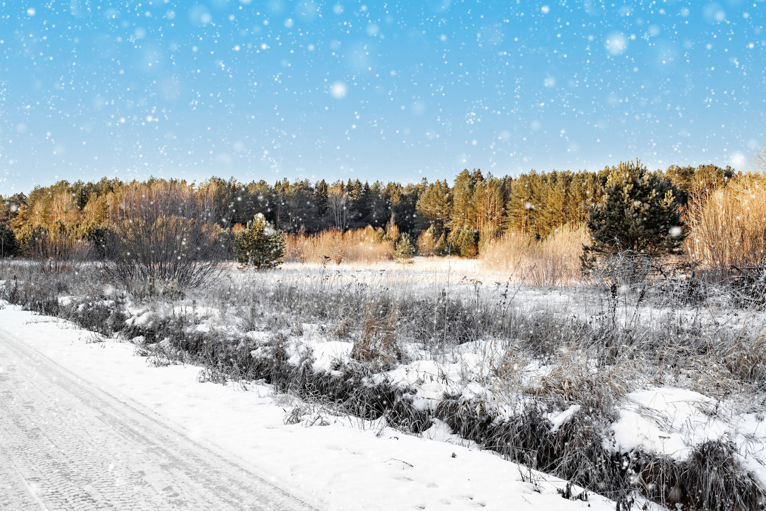 Коттеджный поселок «Лебединая Бухта». Усть-Качка. Декабрь 2021. Фотограф Пермь. Свадьбы. Семья и дети, школа, д. сад. Фотокниги