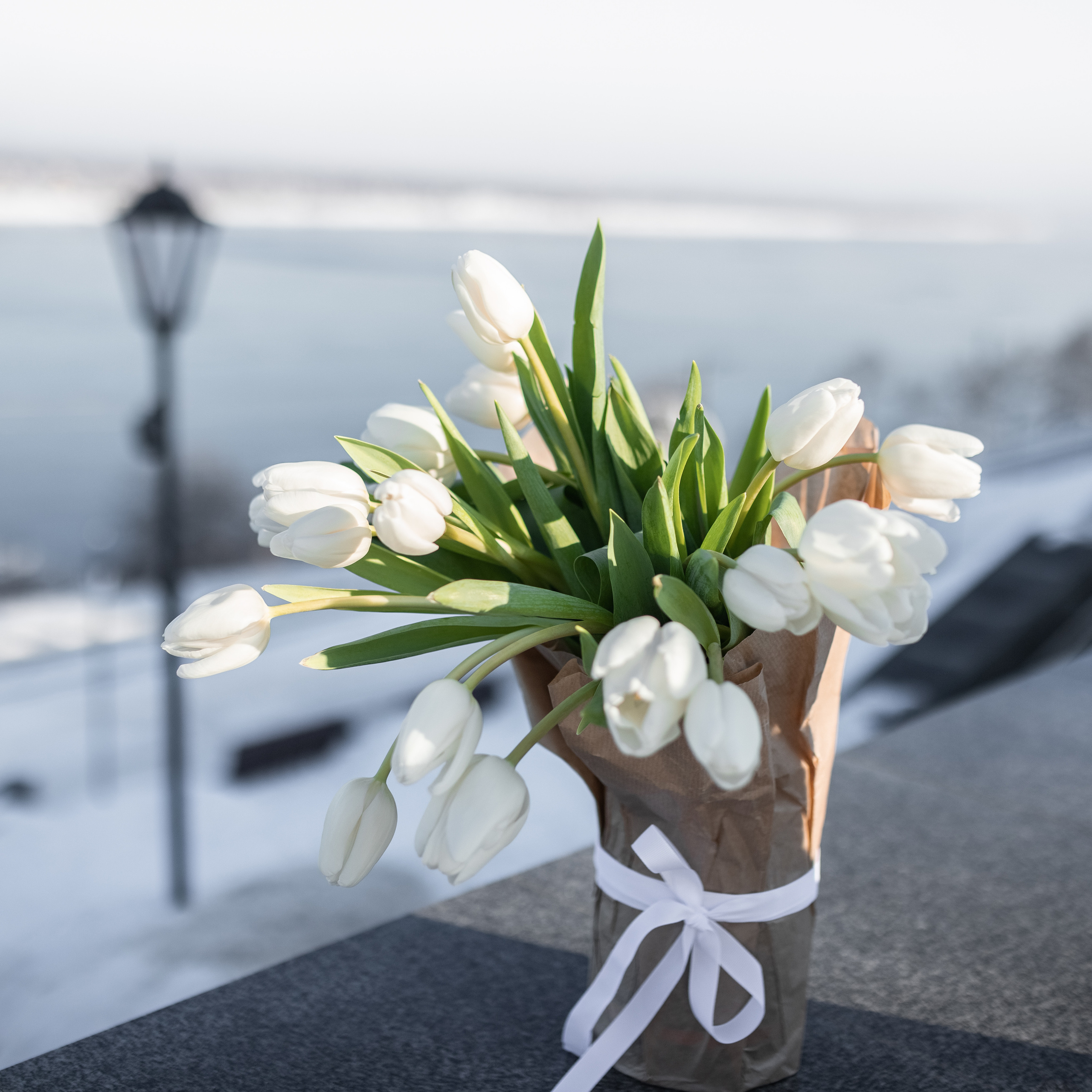 Проект к 8 марта «Прогулка с тюльпанами». Ирина. Надежда. Февраль 2022. Фотограф Пермь. Свадьбы. Семья и дети, школа, д. сад. Фотокниги