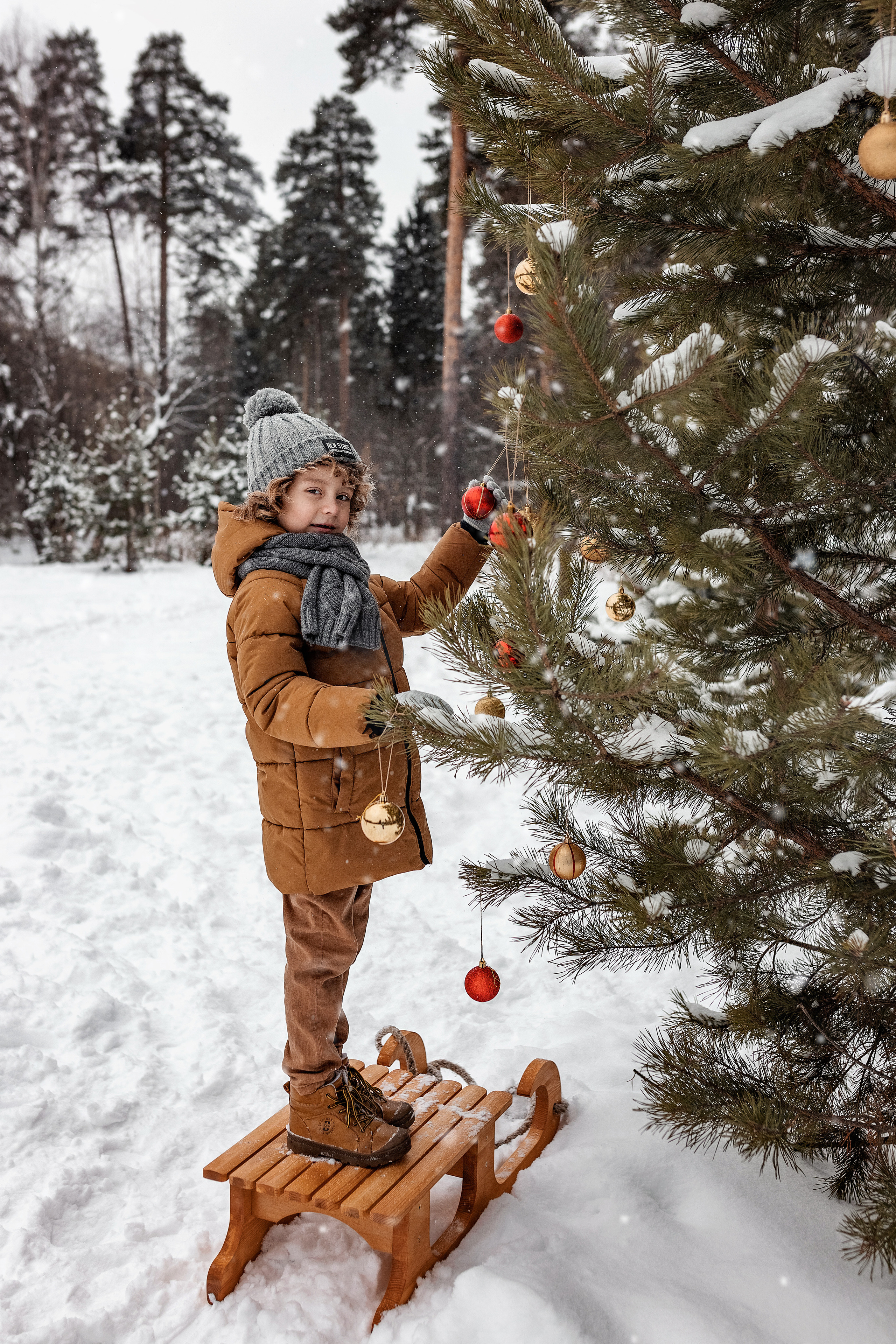 Зимняя Фотопрогулка на санках Пермь фотограф Елена Горбунова