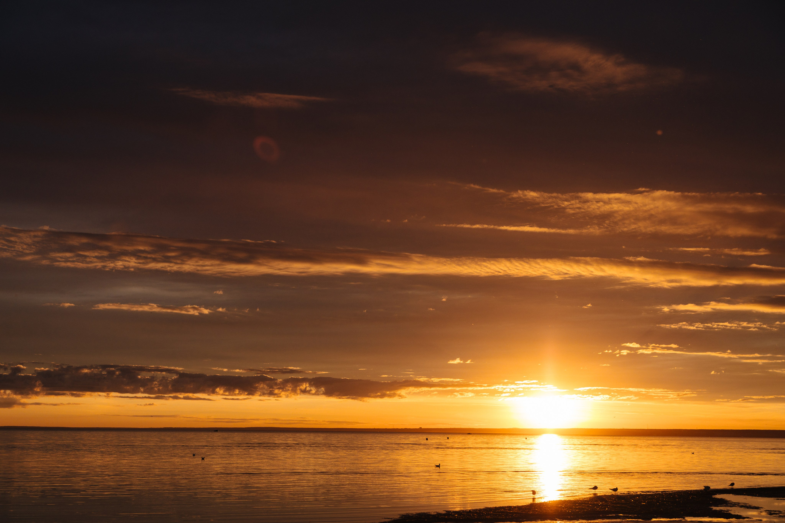 Юлия и Артем. Свадебный фотограф в Санкт-Петербурге Анастасия Андреева