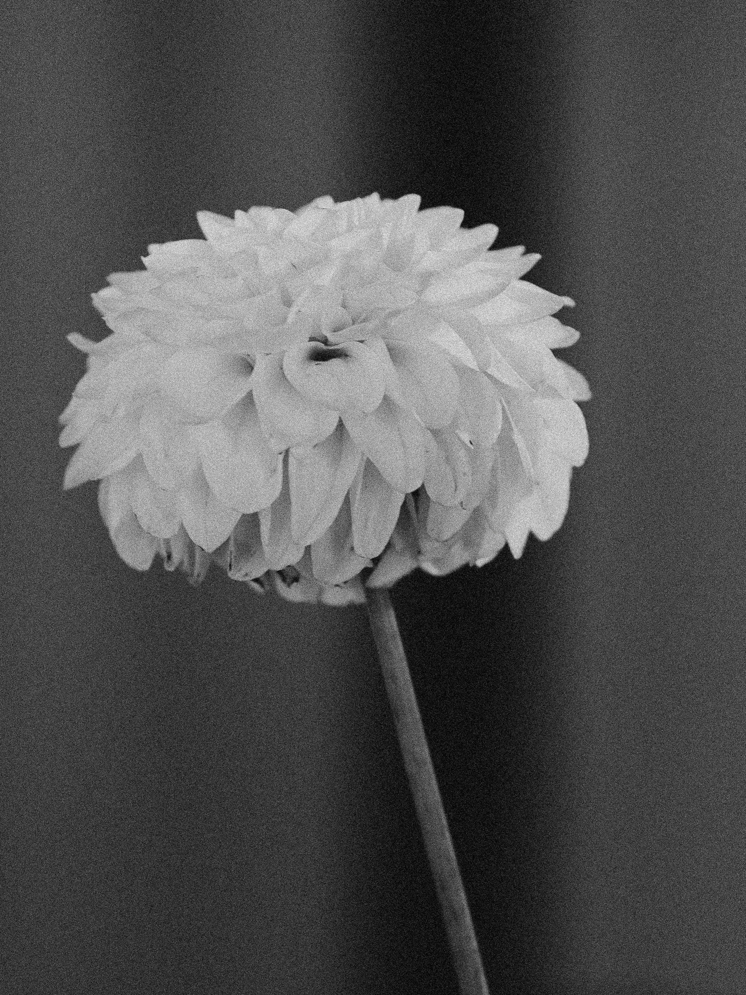 Полина & Герман. Фотограф Serj Ganso