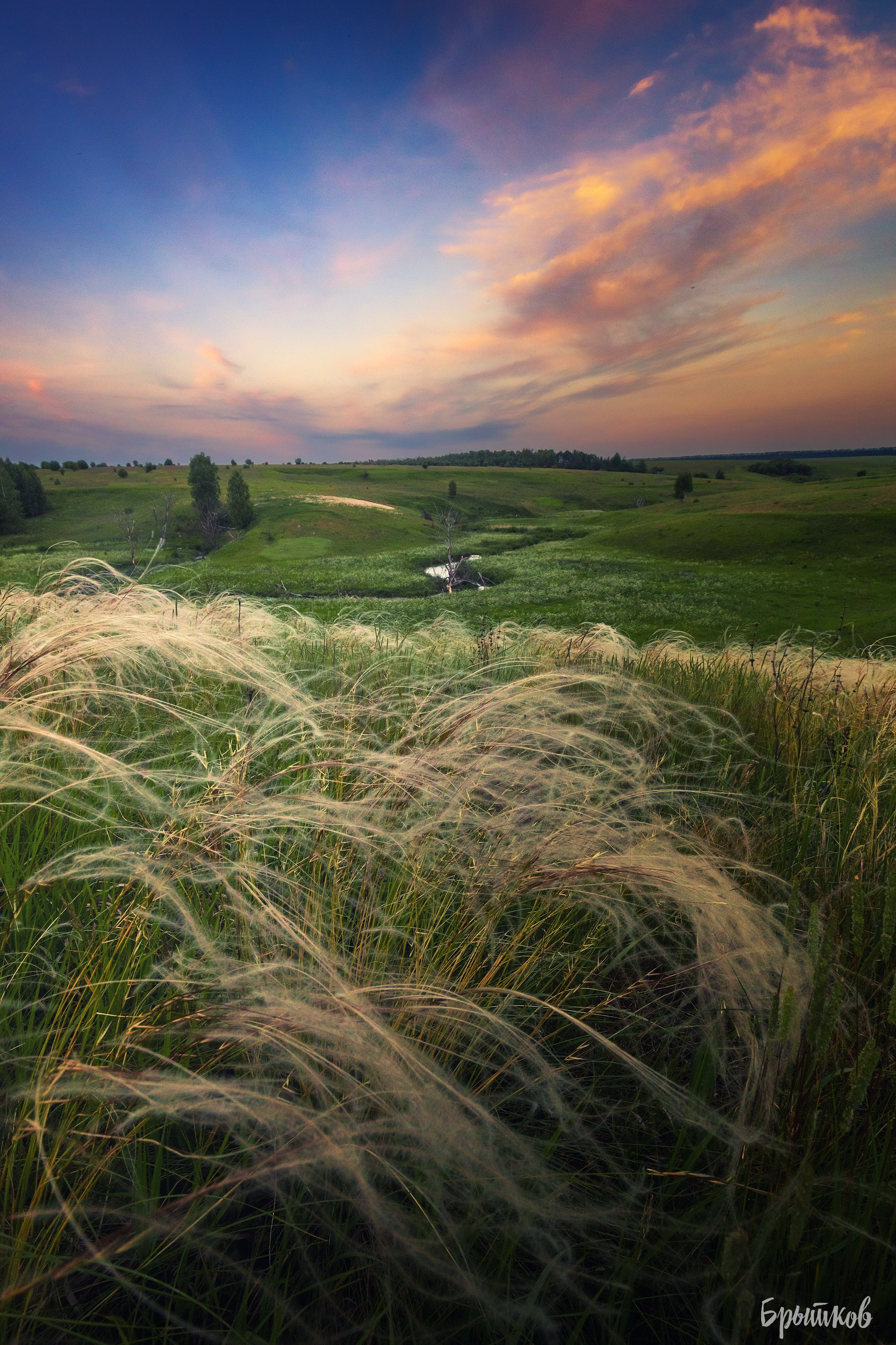 Поля. Ковыль. Николай Брытков — фотограф в Туле