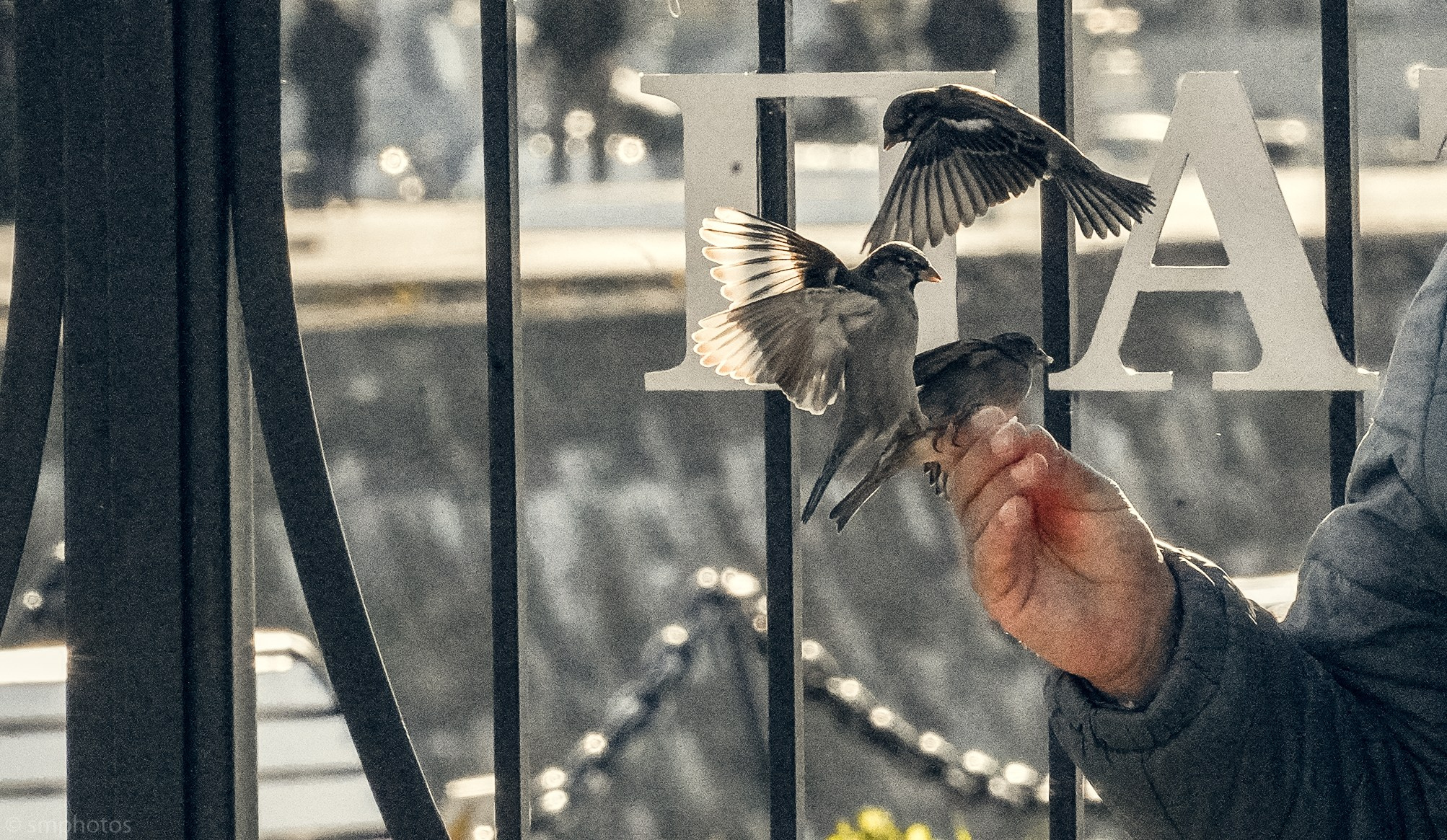 Уличная и репортажная фотография. Репортажный фотограф в Москве Светлана Мулыкина