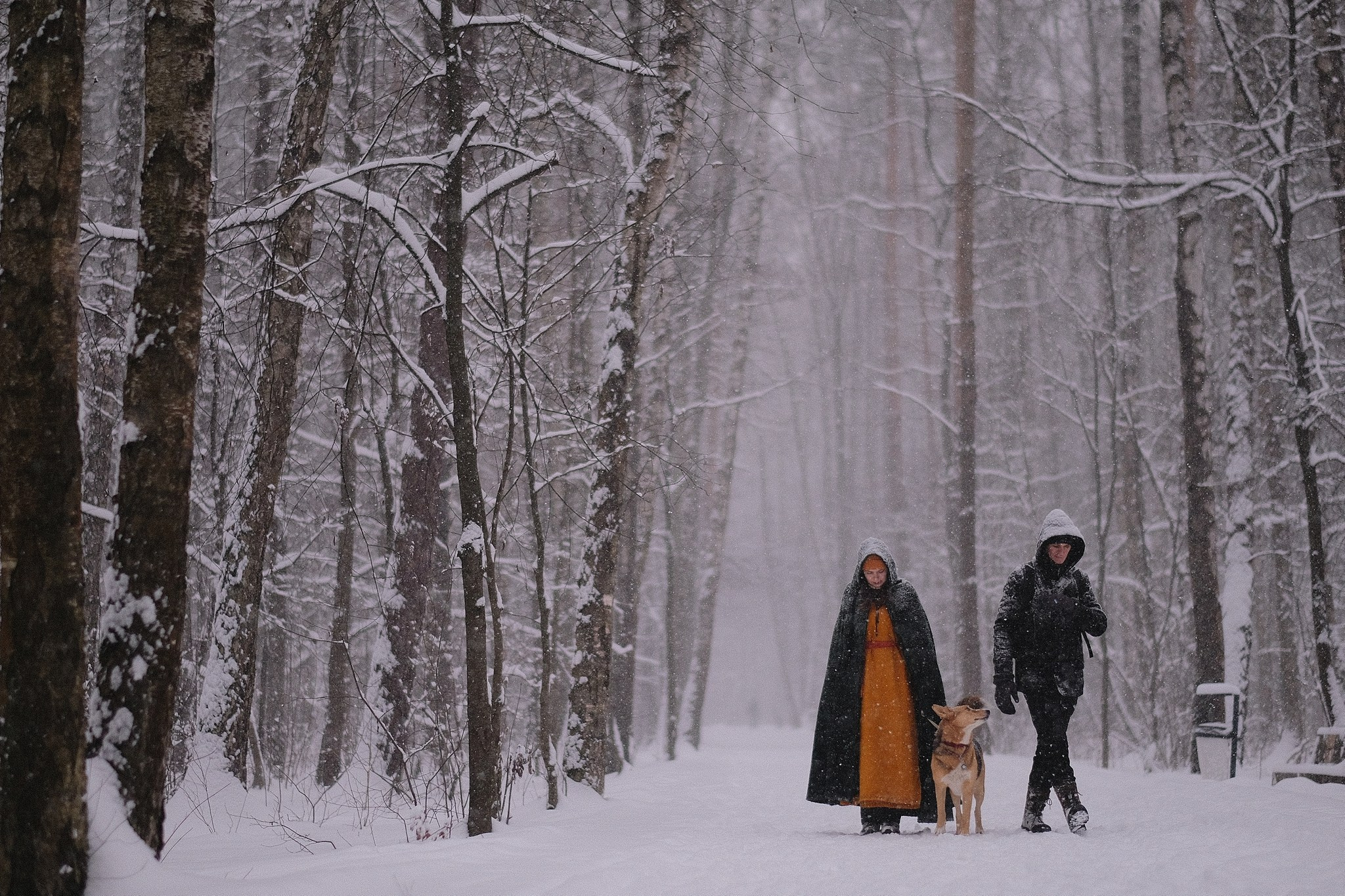 Герда, Лиса и их люди. Дмитрий Бречалов