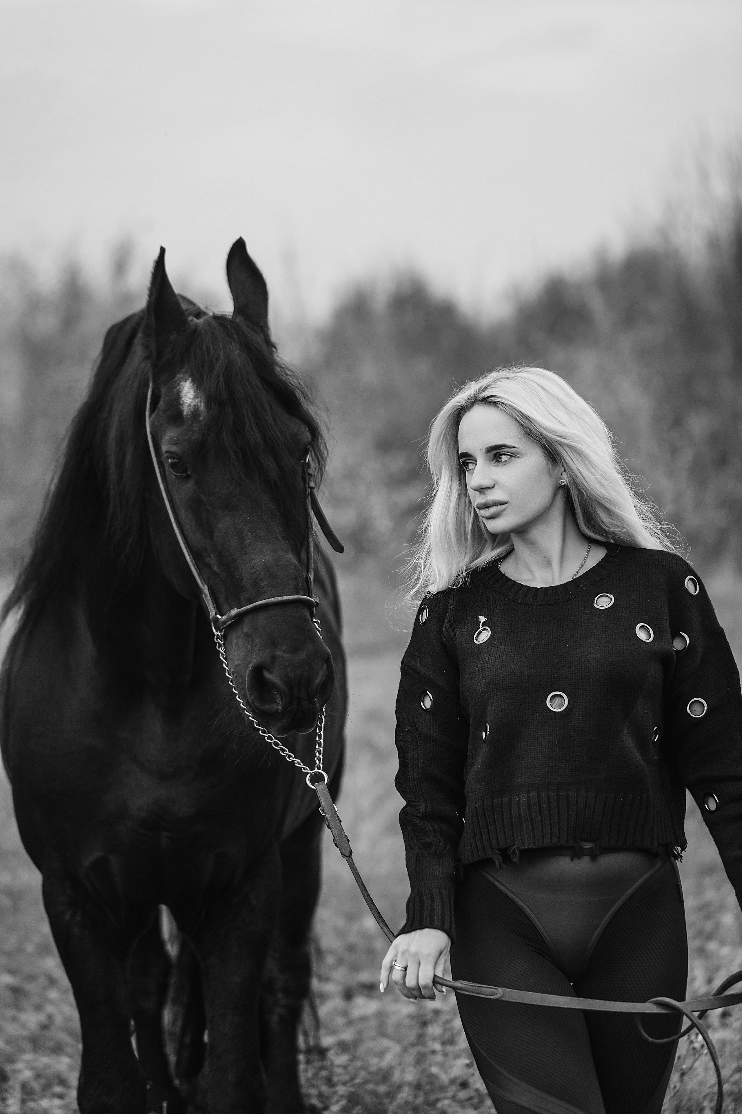 Фото с лошадьми. Обо мне