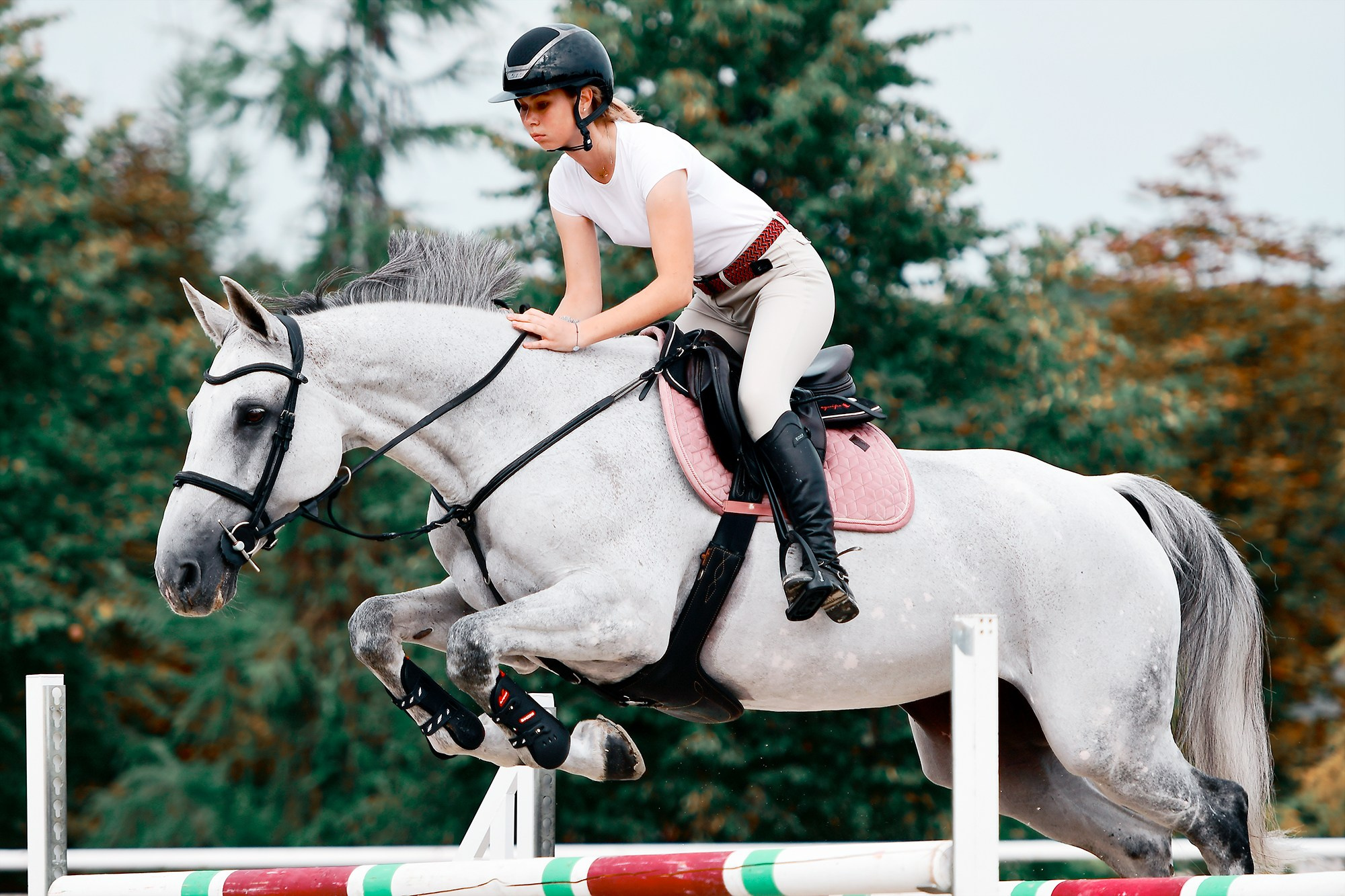 Тренировки. Конный фотограф Alesya Safe