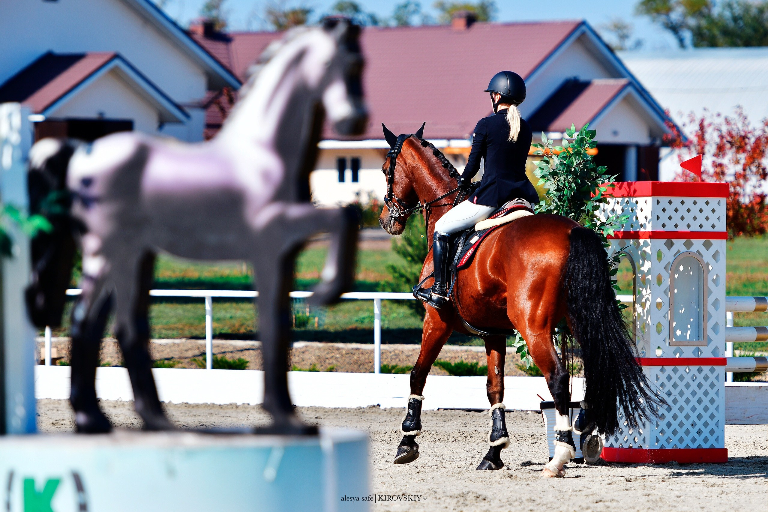 Кировский конный завод. Конный фотограф Alesya Safe