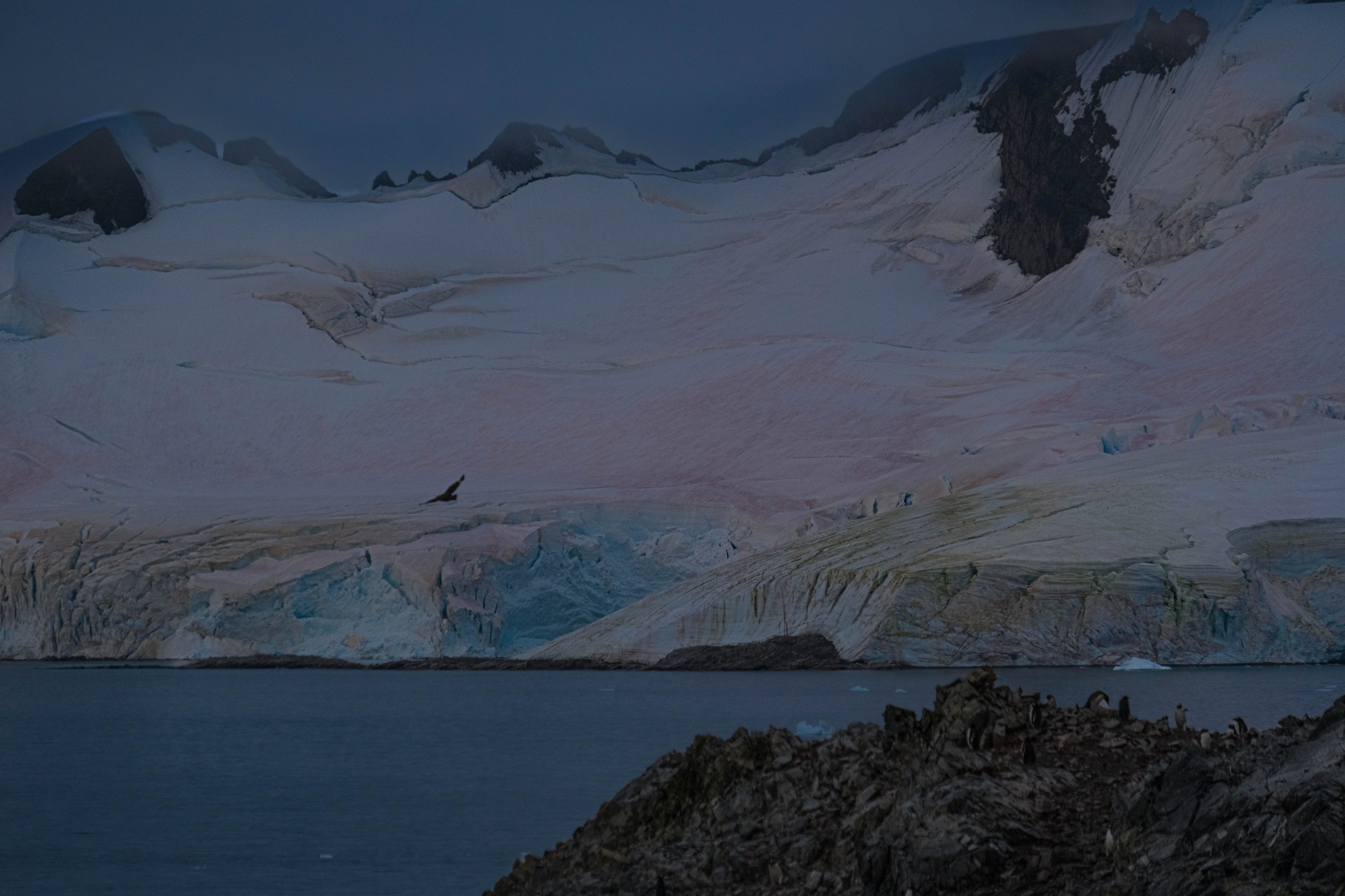 Материк и льды. Фотографии из путешествий