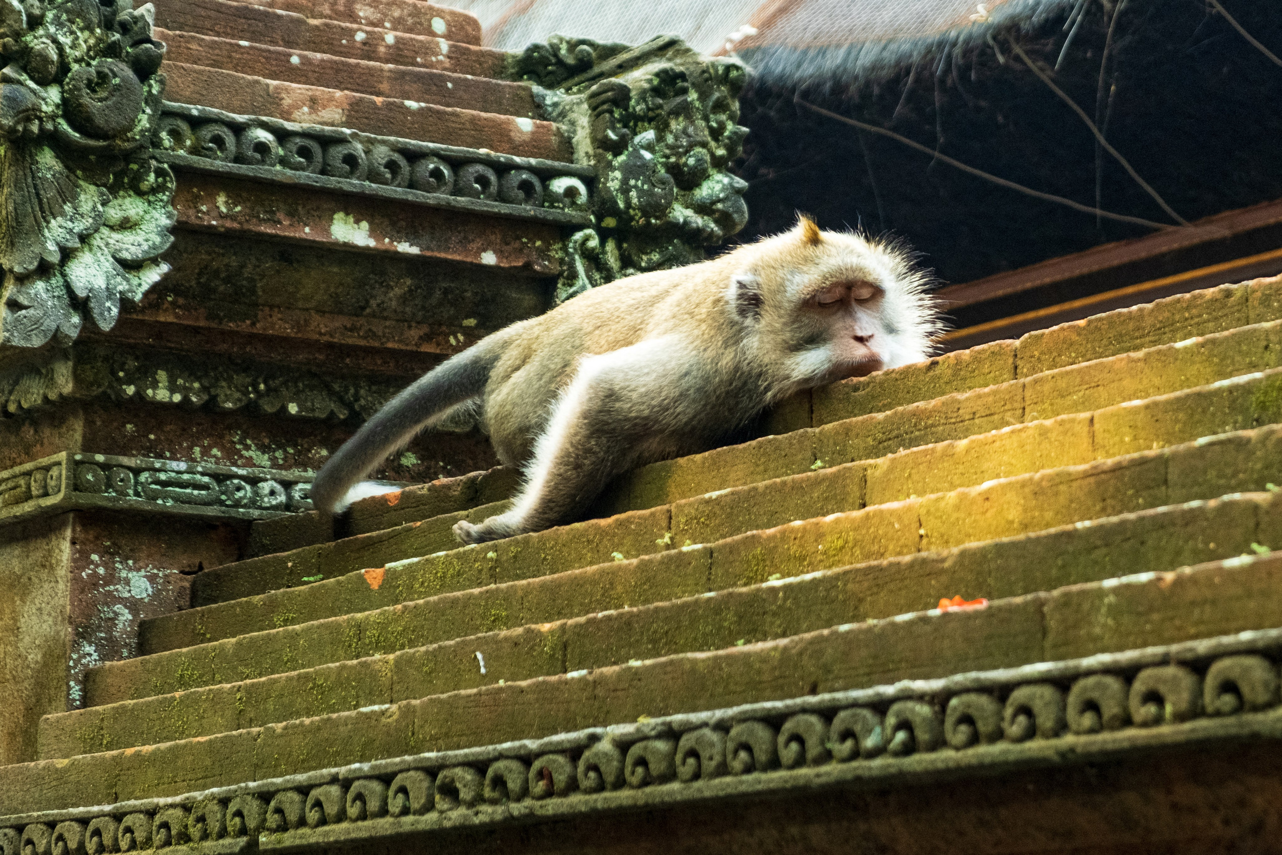 Остров Бали г. Убуд. Фотографии из путешествий
