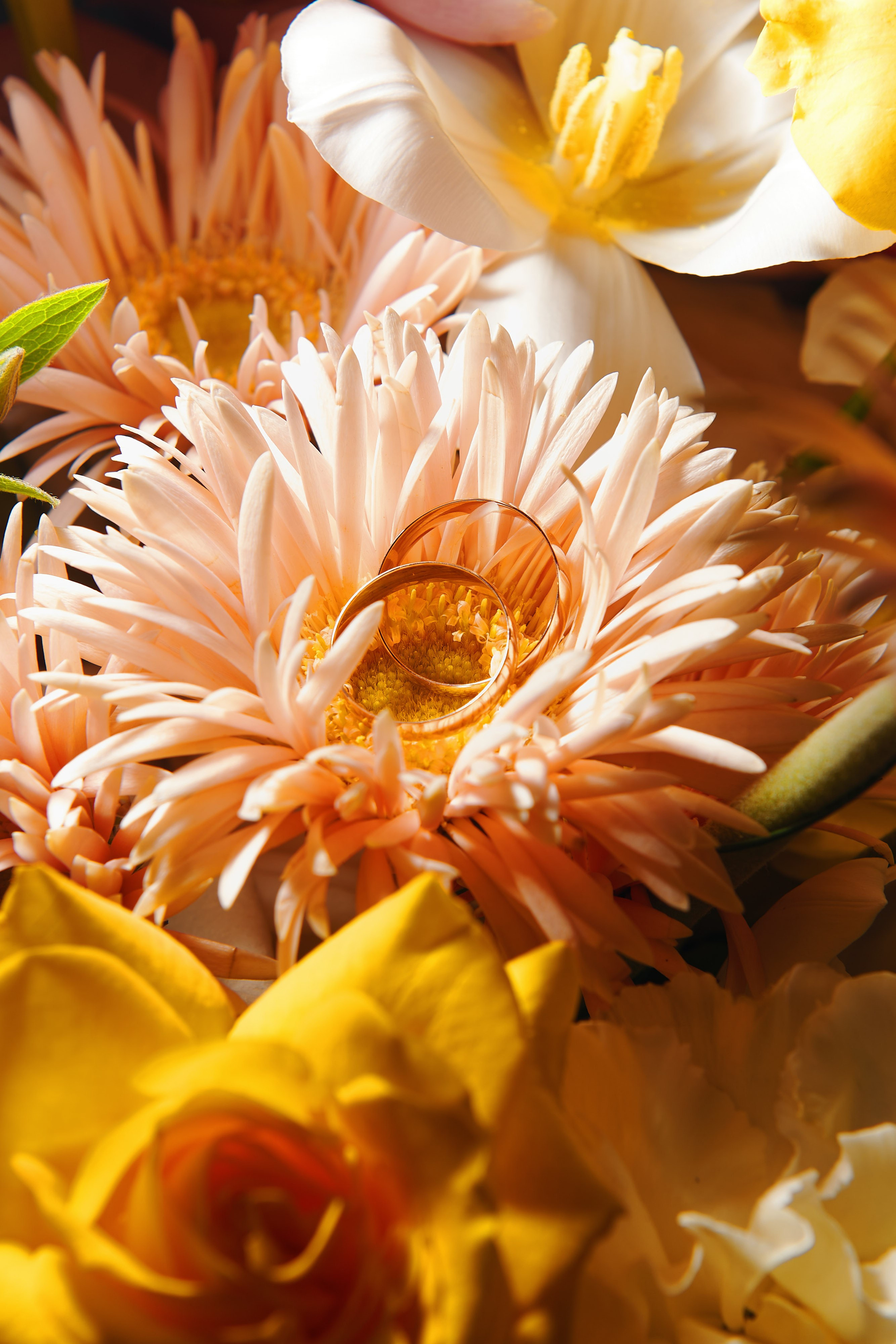 Даша и Вадим. Репортажной фотограф Ариан