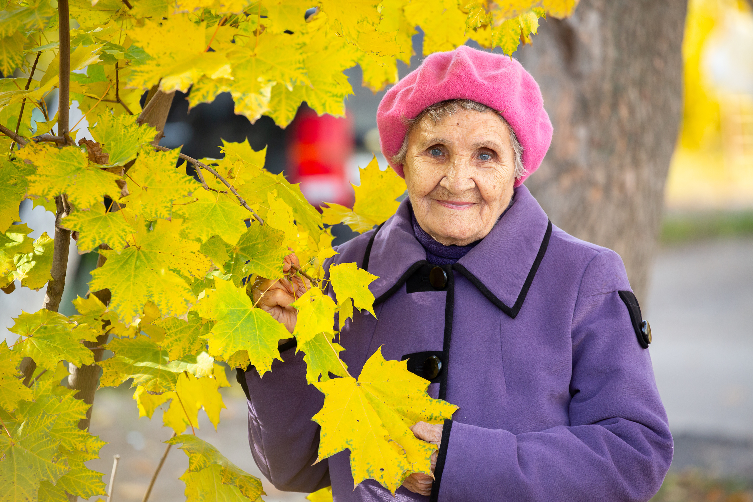 Пленэр (фотосъемка на природе). Фотограф Алёна Финашова