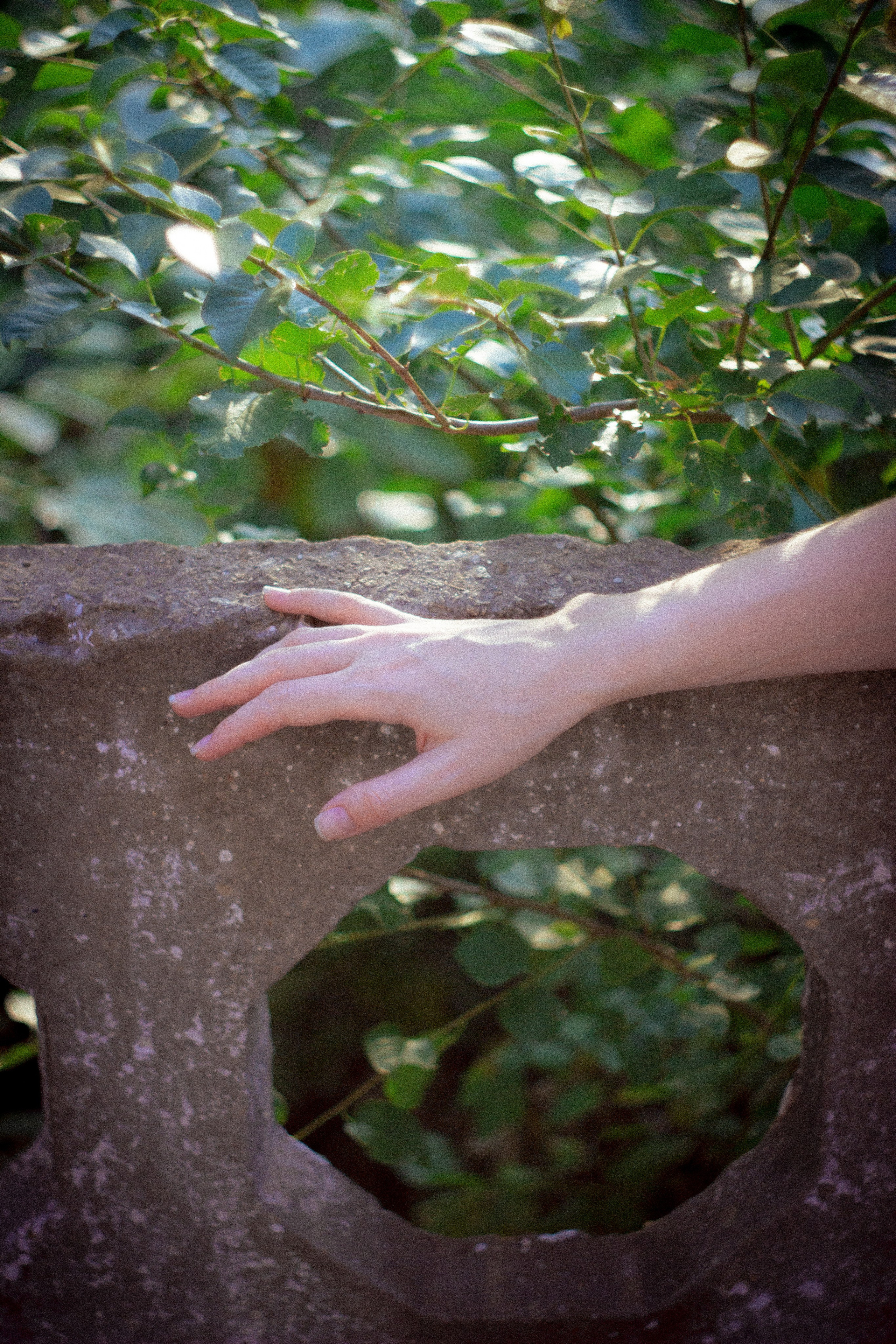 Вперед в прошлое. • Фотограф Александра Светозар Алчевск •