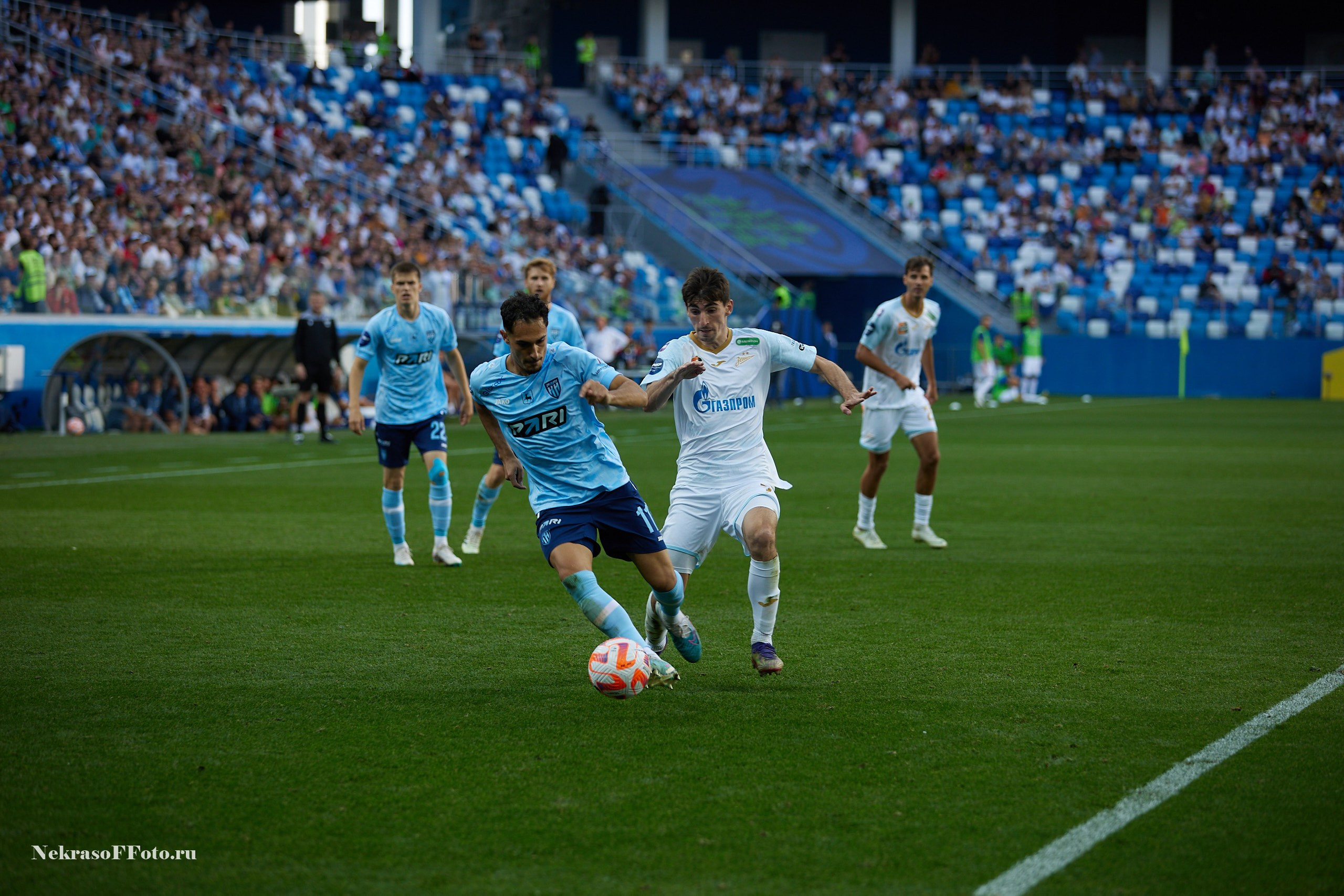 РПЛ ФК Зенит — ФК Пари НН. Спортивный фотограф Некрасов Денис