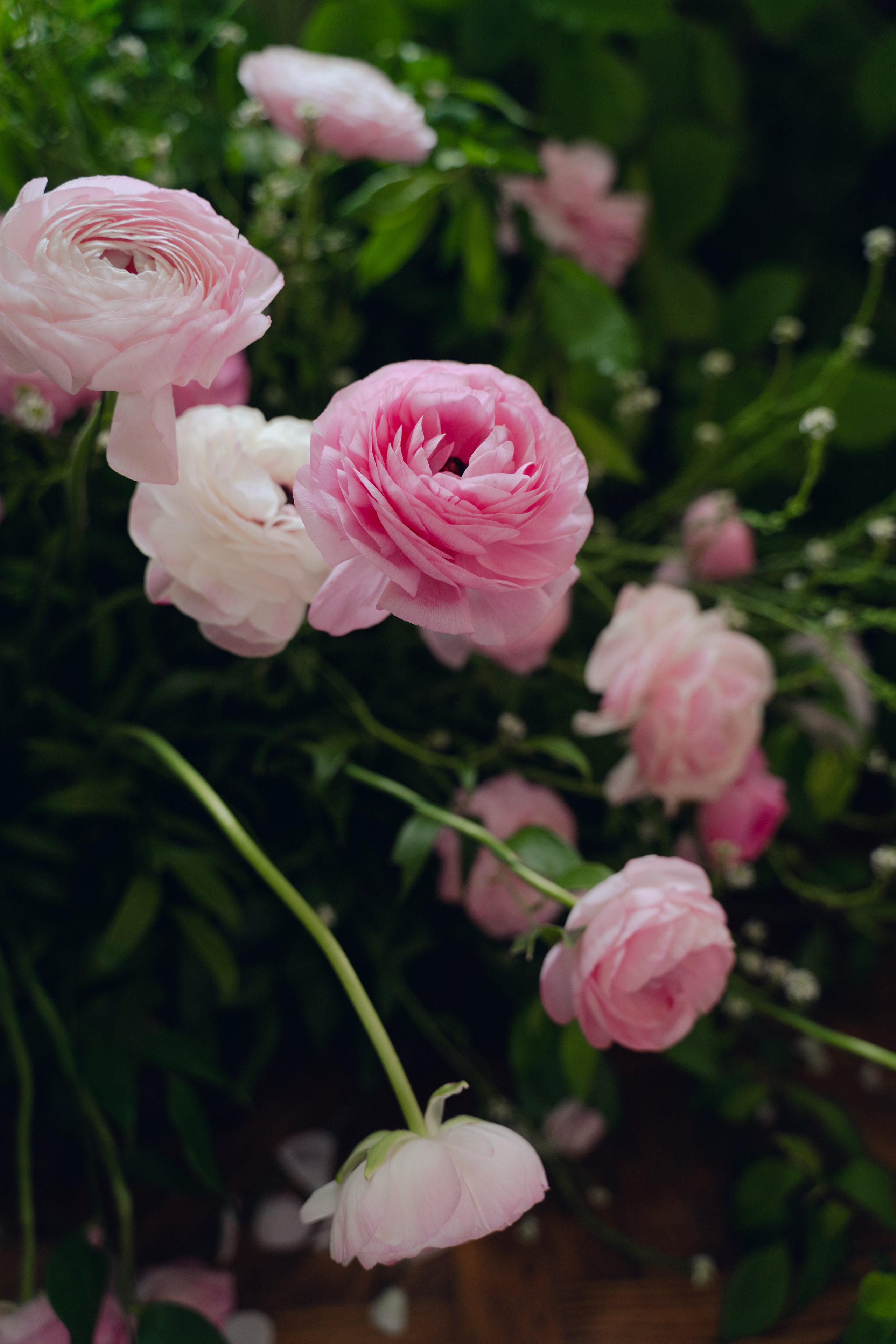 The Secret Garden. Портретный фотограф в Краснодаре Валерия Матирная