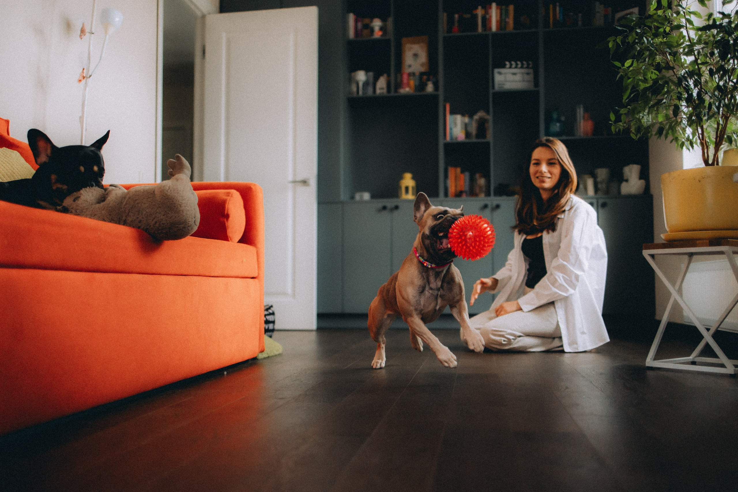 Юля, Мия и Зек