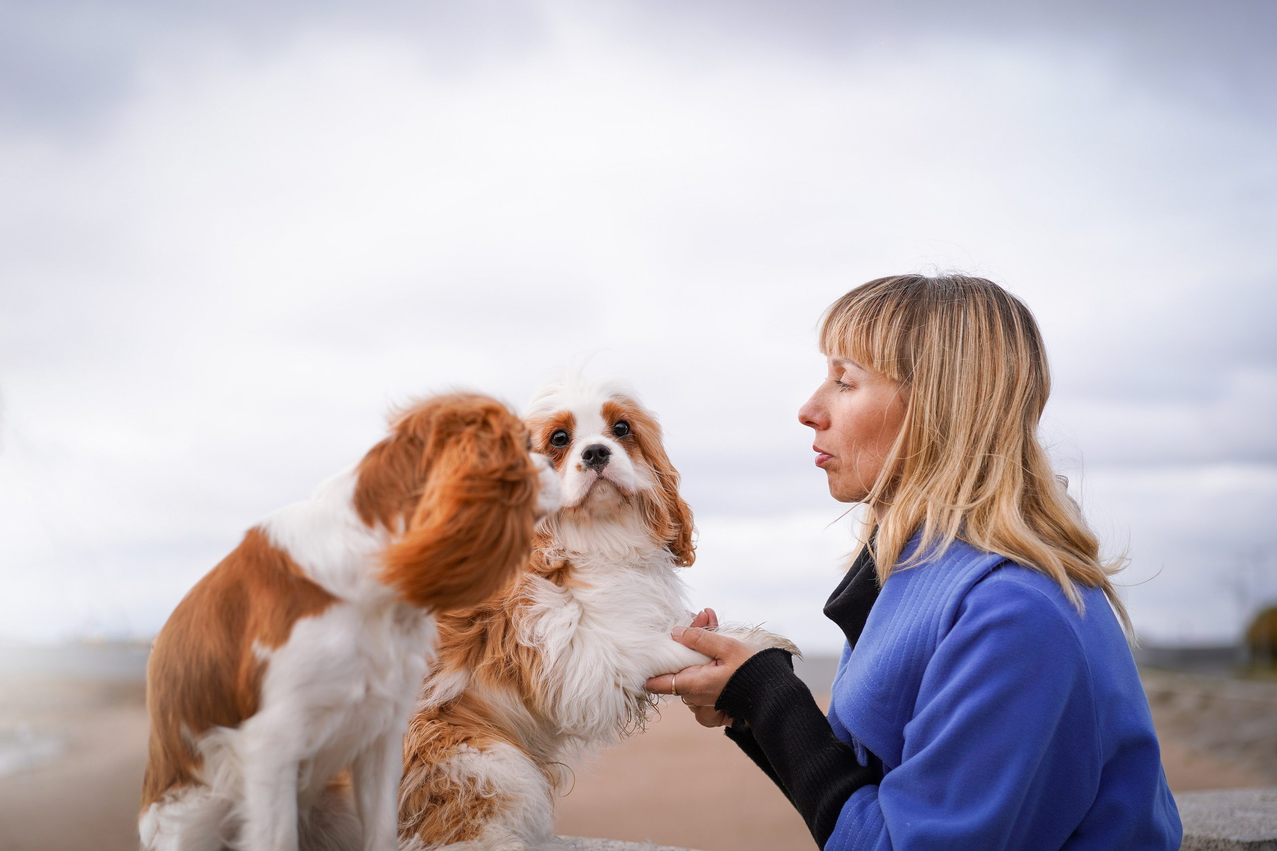 Катя Валера Саша и кавалерчики. Фотограф-анималист в Санкт-Петербурге Яна Мартынова