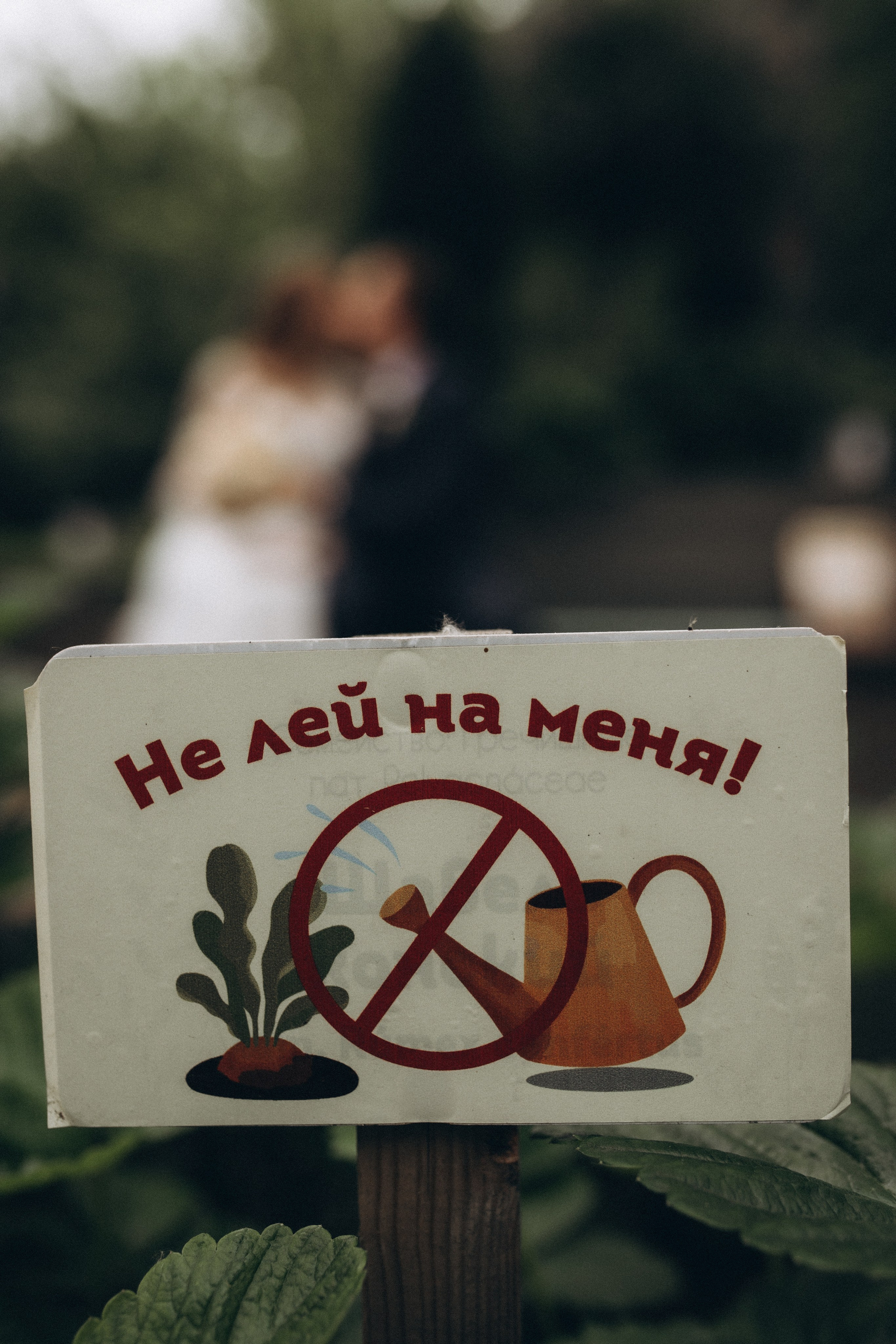 Любовь с нами. Семейный и свадебный фотограф Анна Кожокарь