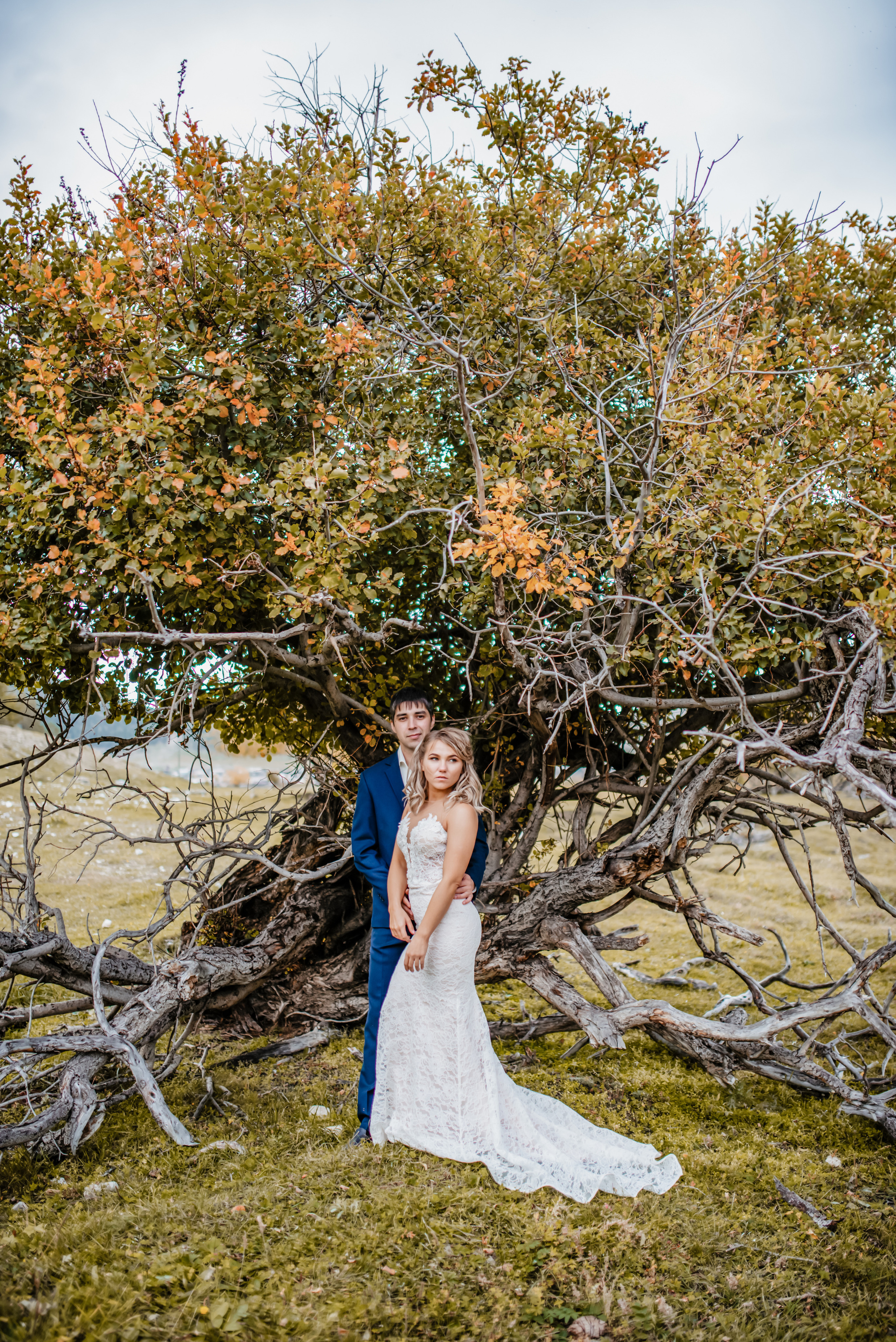 Свадебная фотосессия под деревом у реки жених обнимает невесту