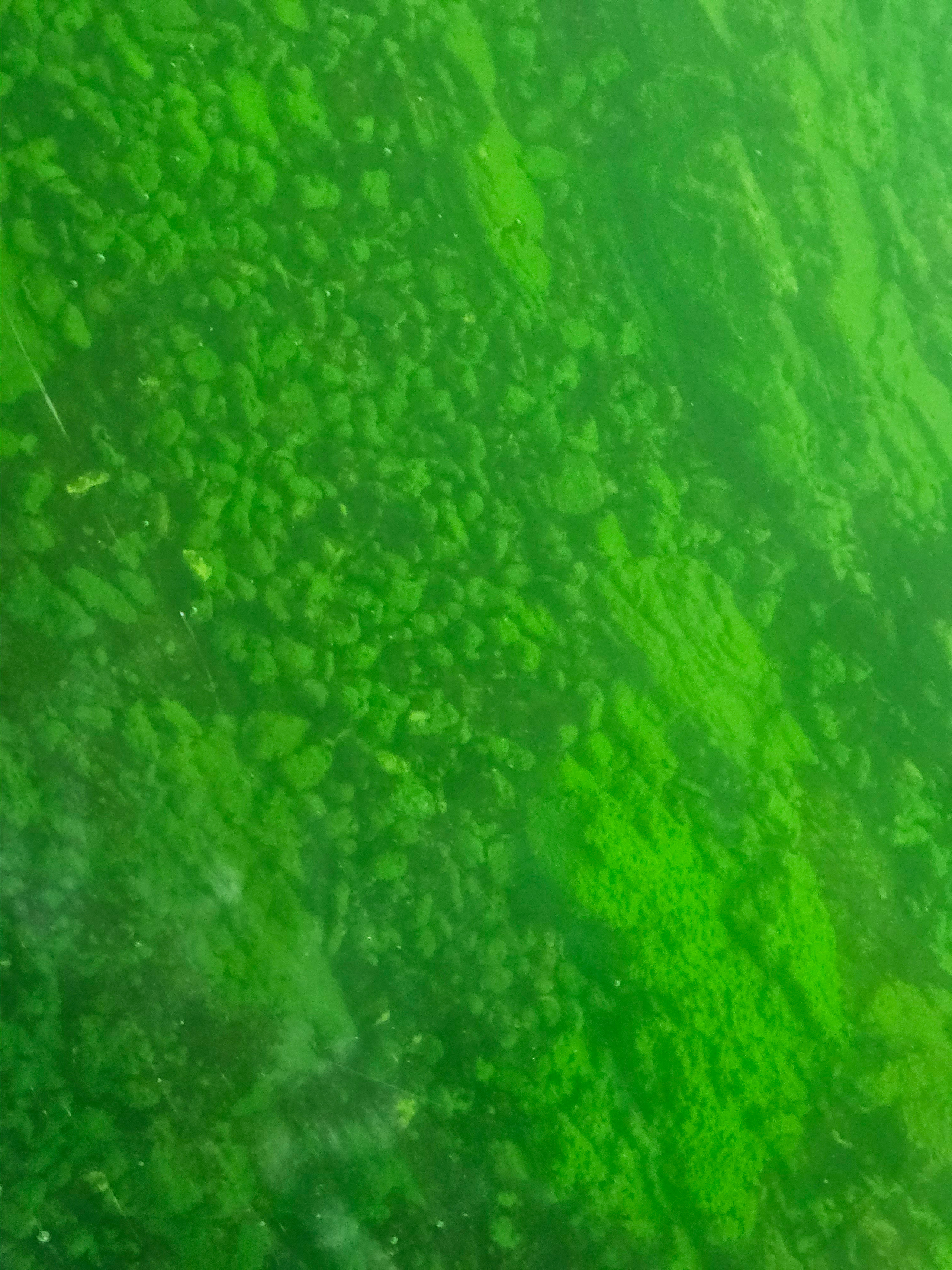 Вид на шаман камень исток ангары листвянка