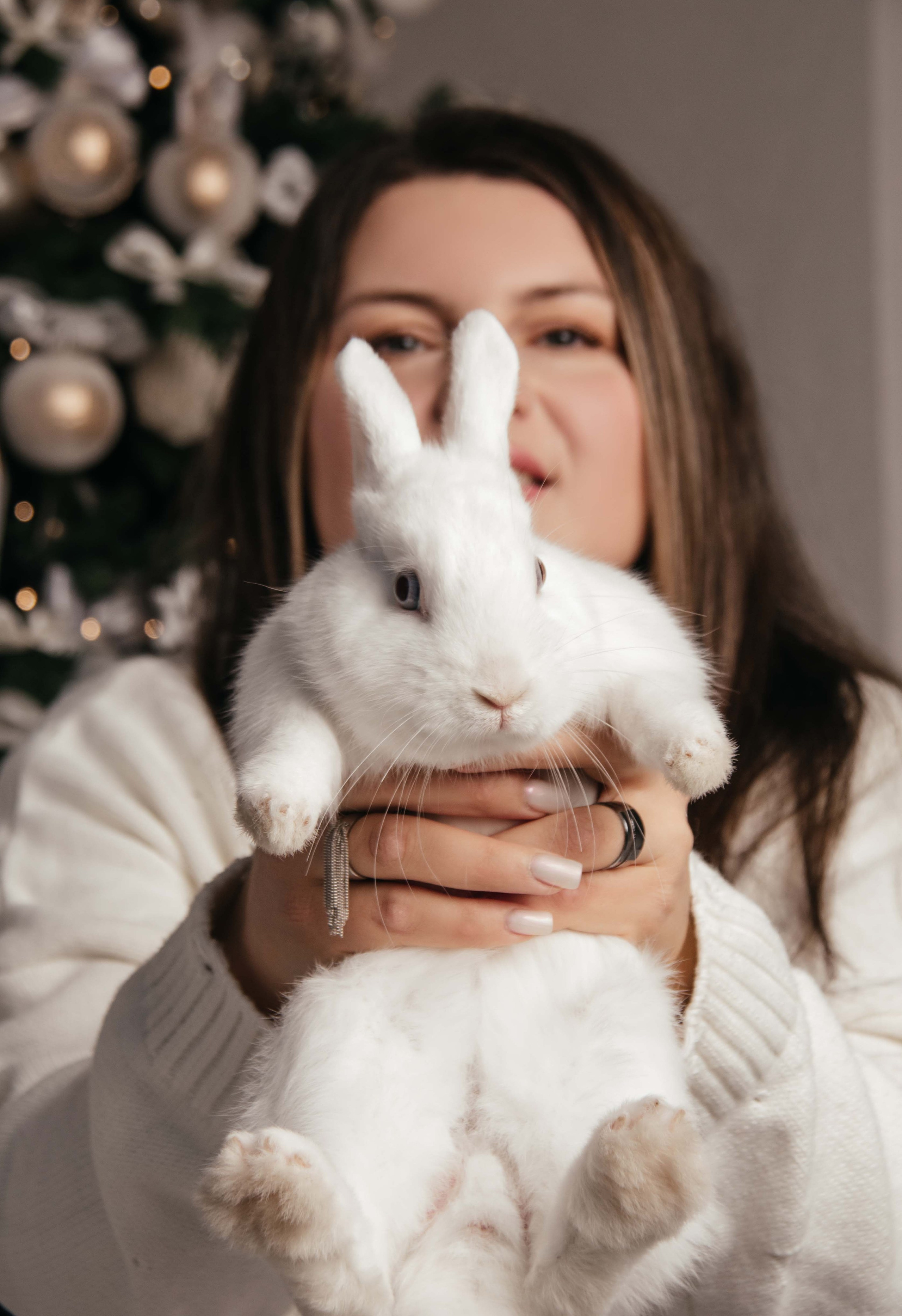 Новый год 2024