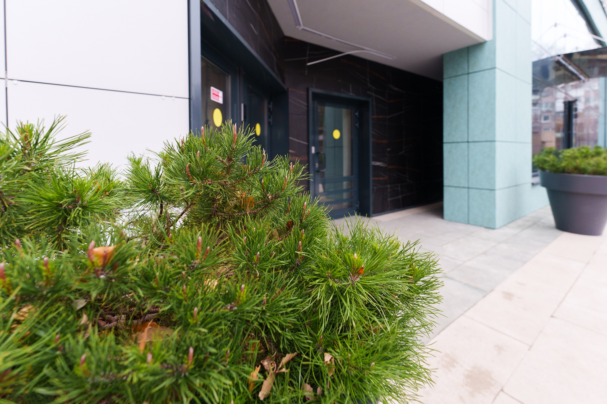 Квартира Аренда Самара. Главная