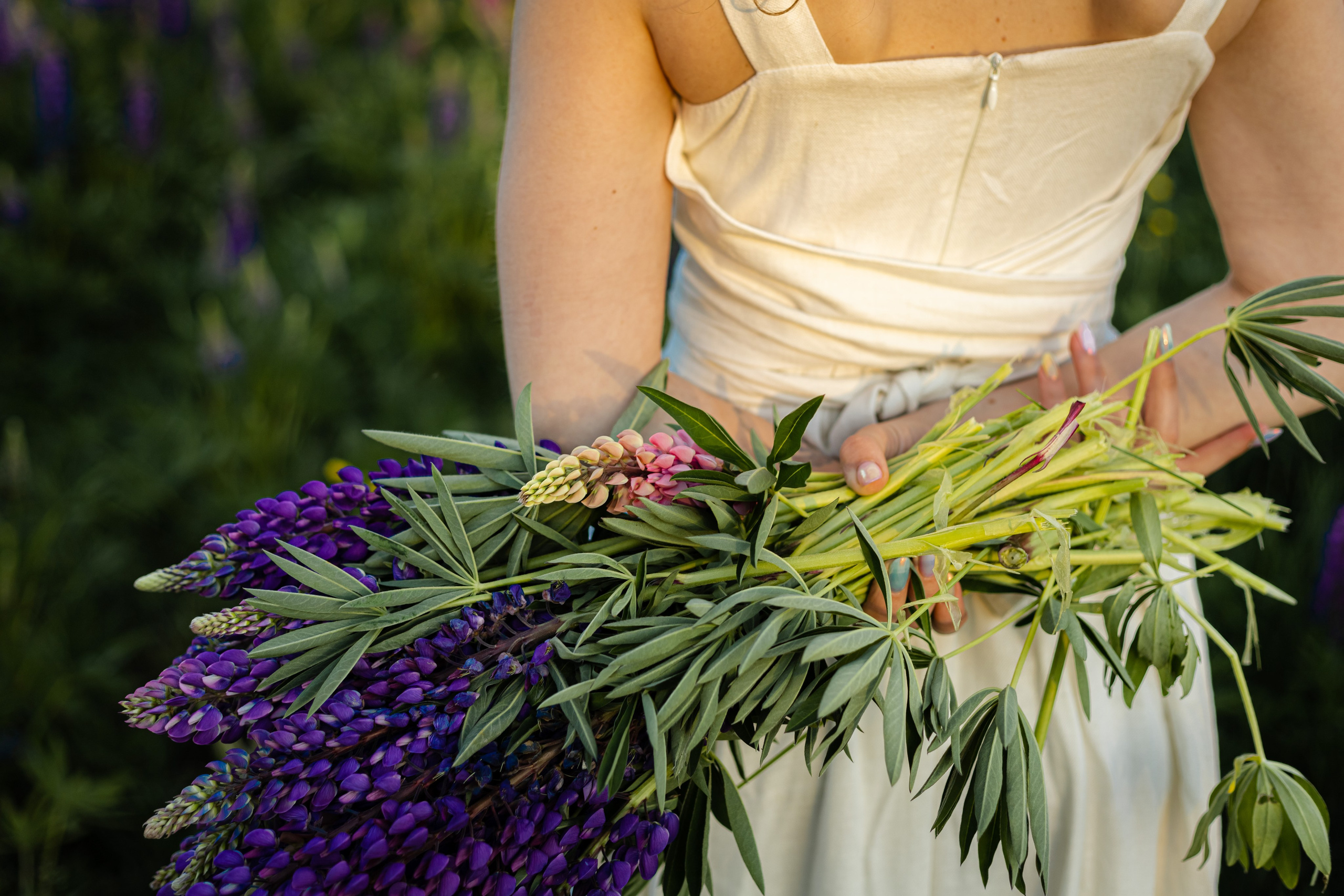 Ирина в люпинах. Женская фотосессия в поле люпинов. Семейный и детский фотограф в Санкт-Петербурге Павлова Елена