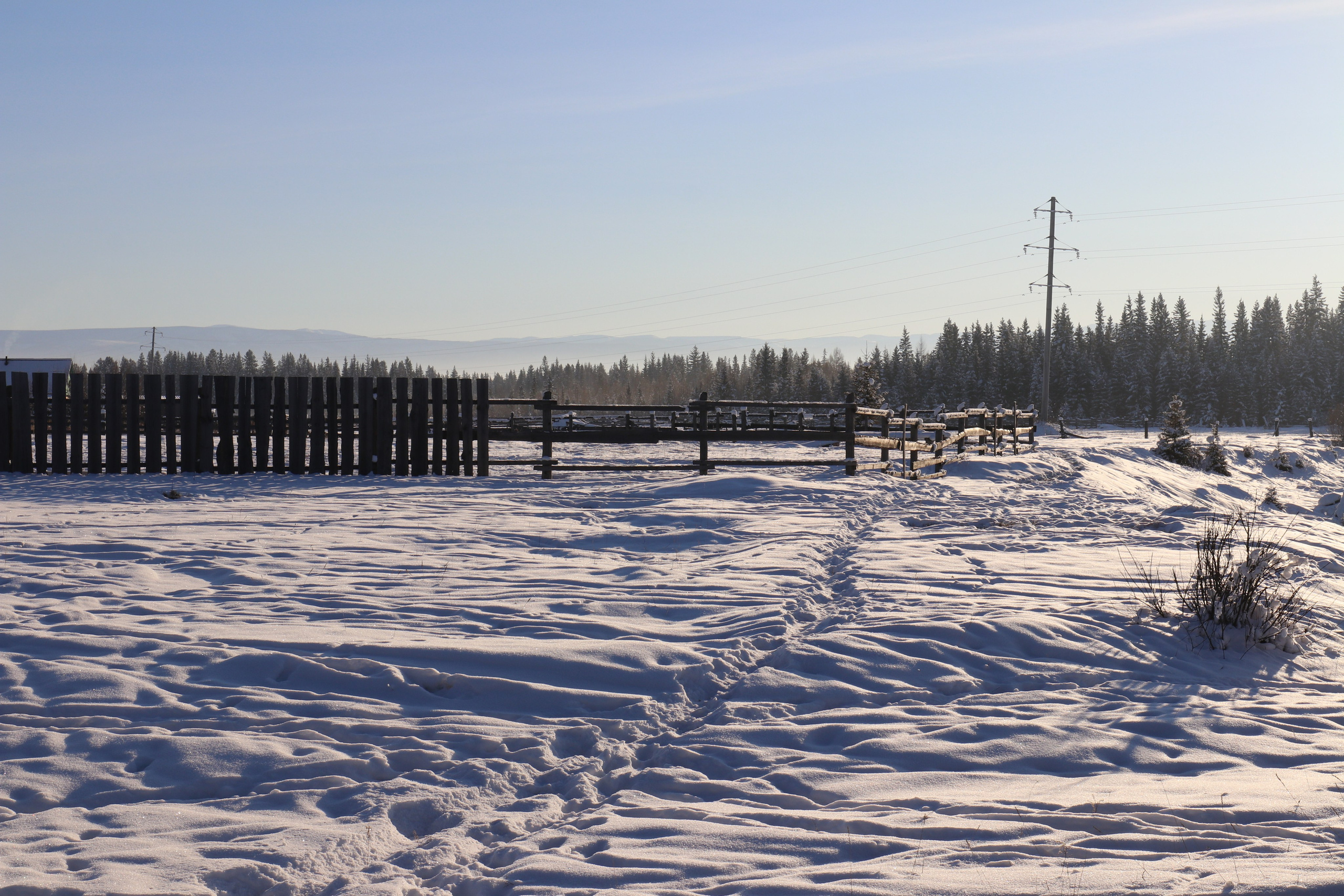 Аршан. Январь 2022. Путешественник-фотограф из Санкт-Петербурга Татьяна Свистулина