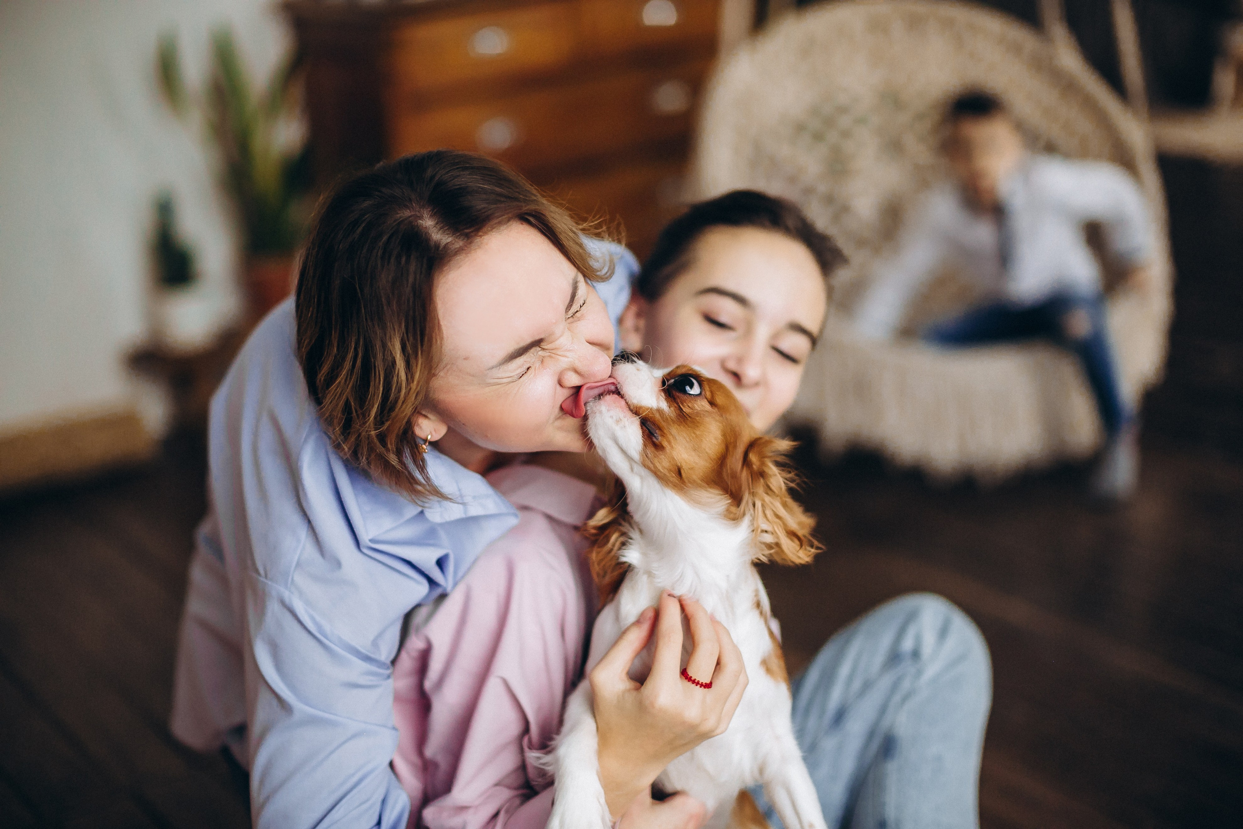 Новогодние фотосессии. Семейный, детский и школьный фотограф в Москве Рудницкая Анна