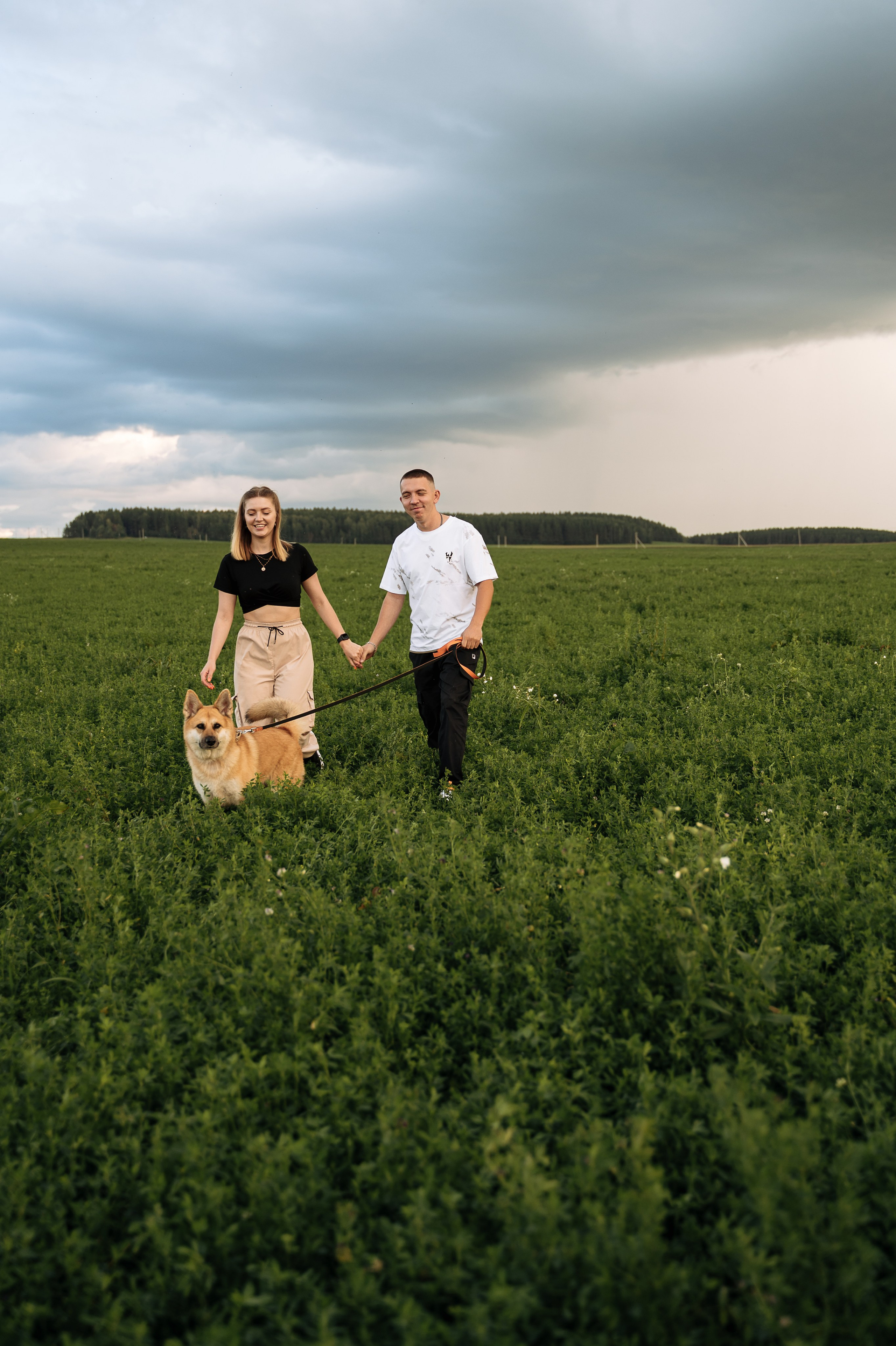 Фотограф Мария Чахеева город Екатеринбург - фотосессия влюбленной пары в поле с собакой летом