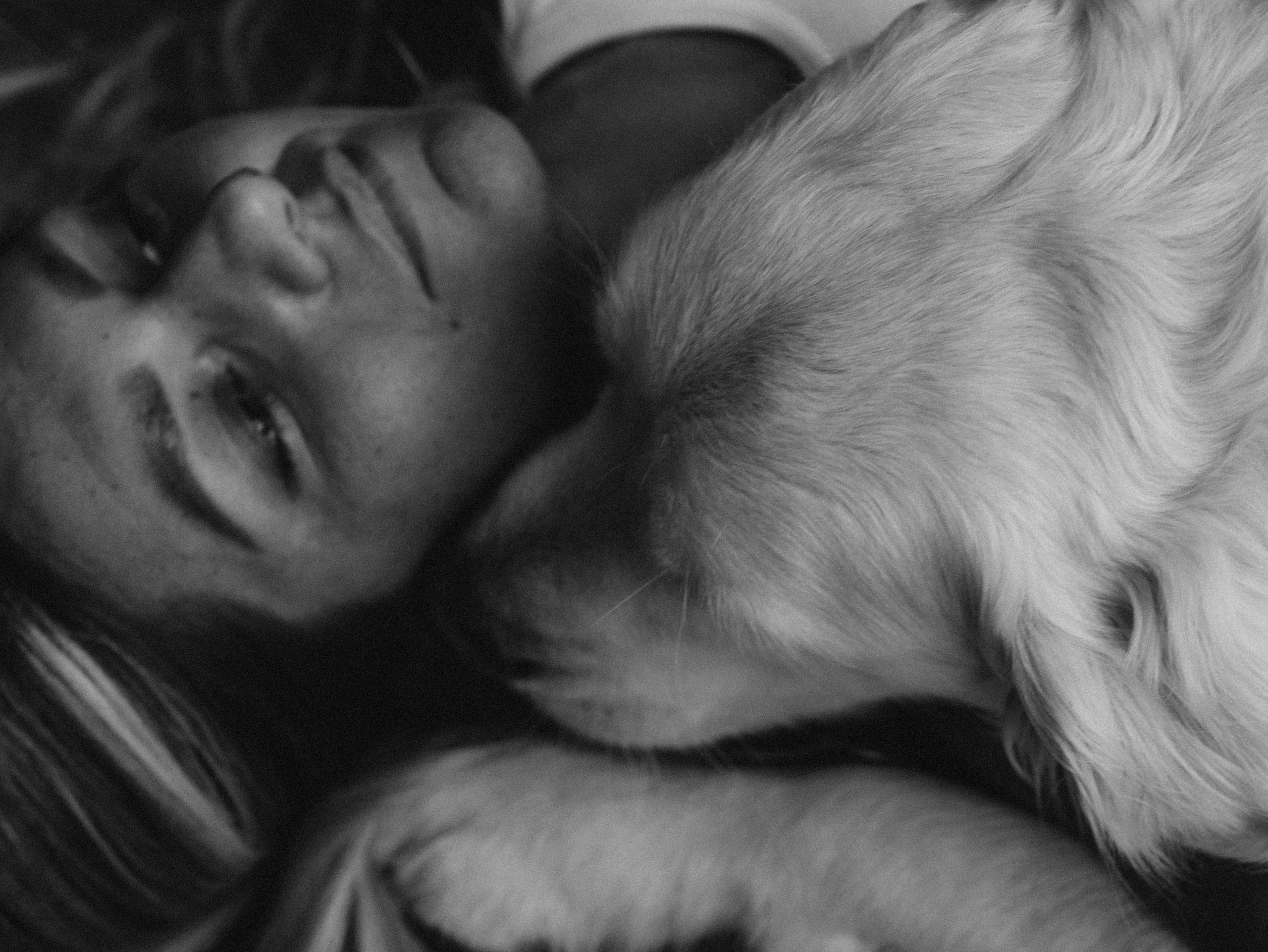 Энди и Настя. Фотограф-анималист в Москве Кириллова Татьяна