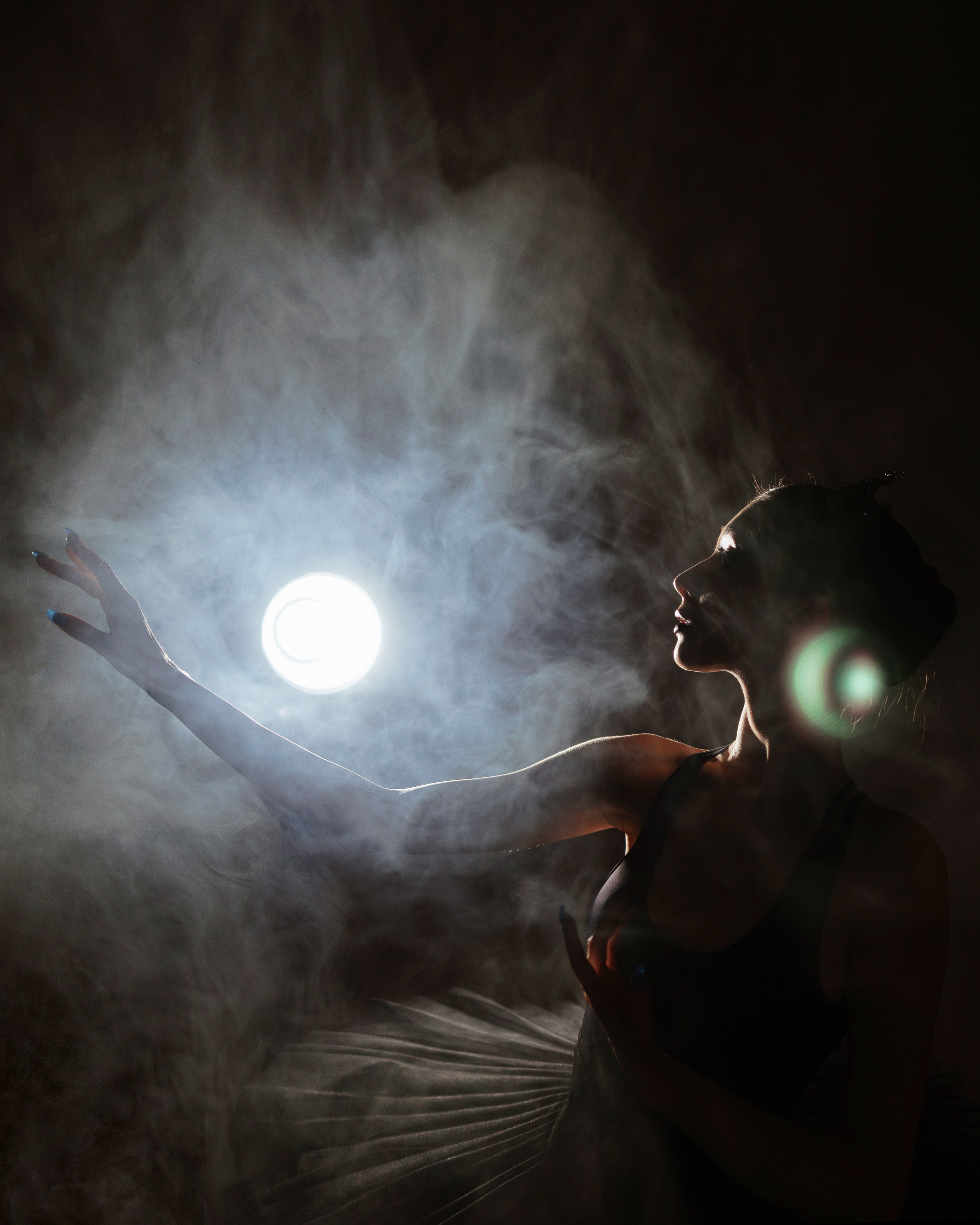 Черный лебедь. Марковкина КрисТина