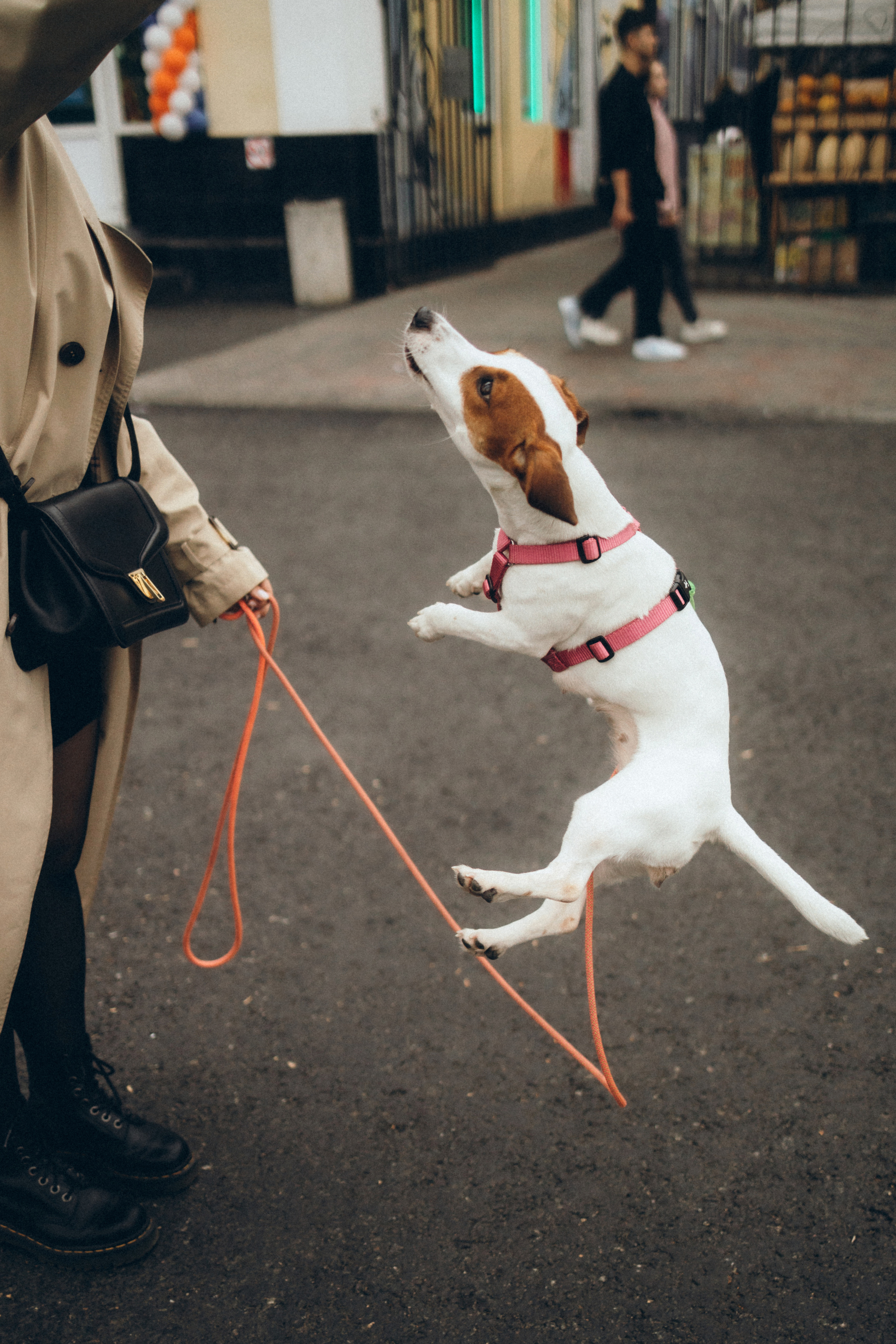 Настя и Мани. Свадебный и портретный фотограф в Москве Кристина Золотова