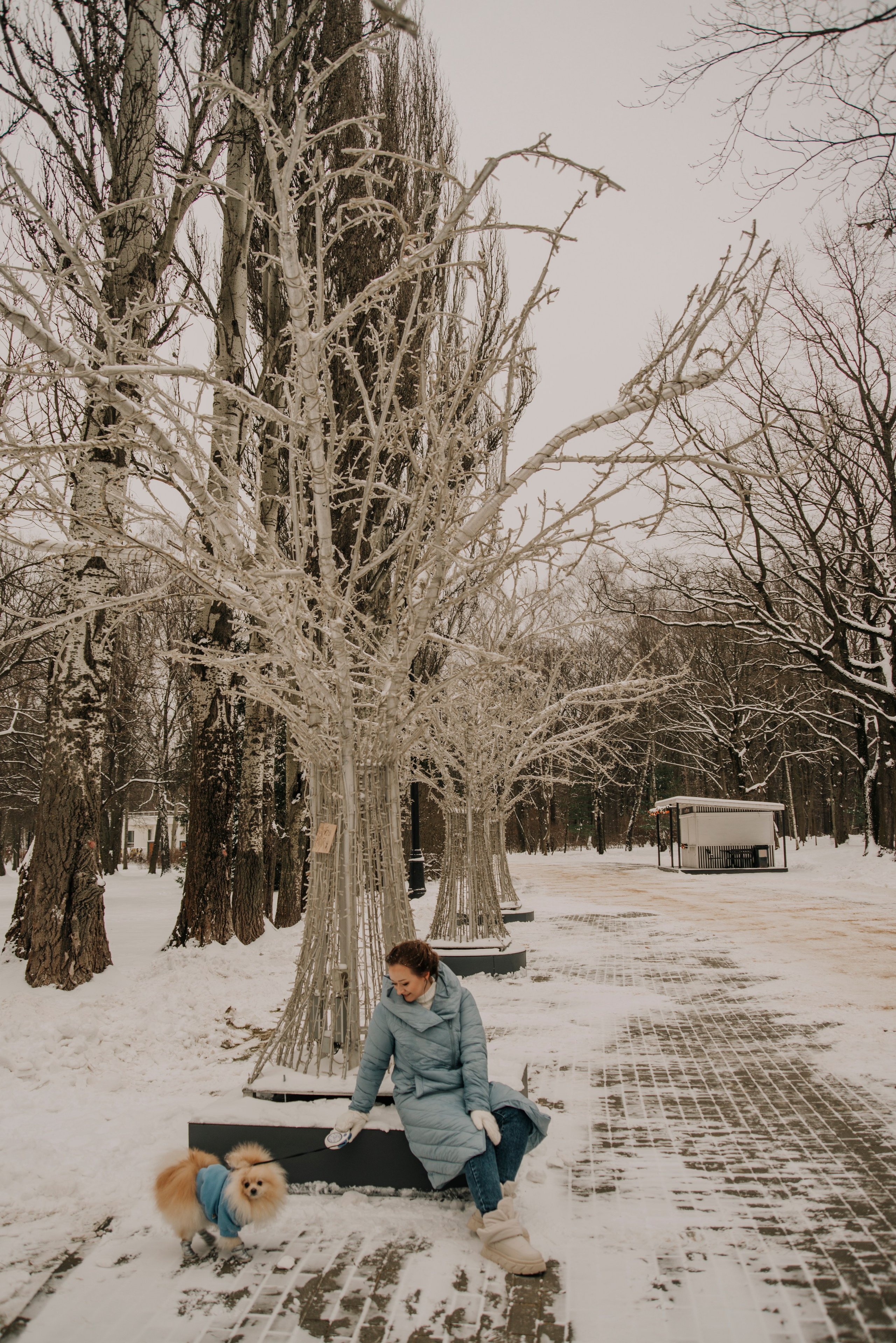 Зимняя фотосессия в парке с собакой. Фотограф Москва: тематическая фотосессия с подбором образа