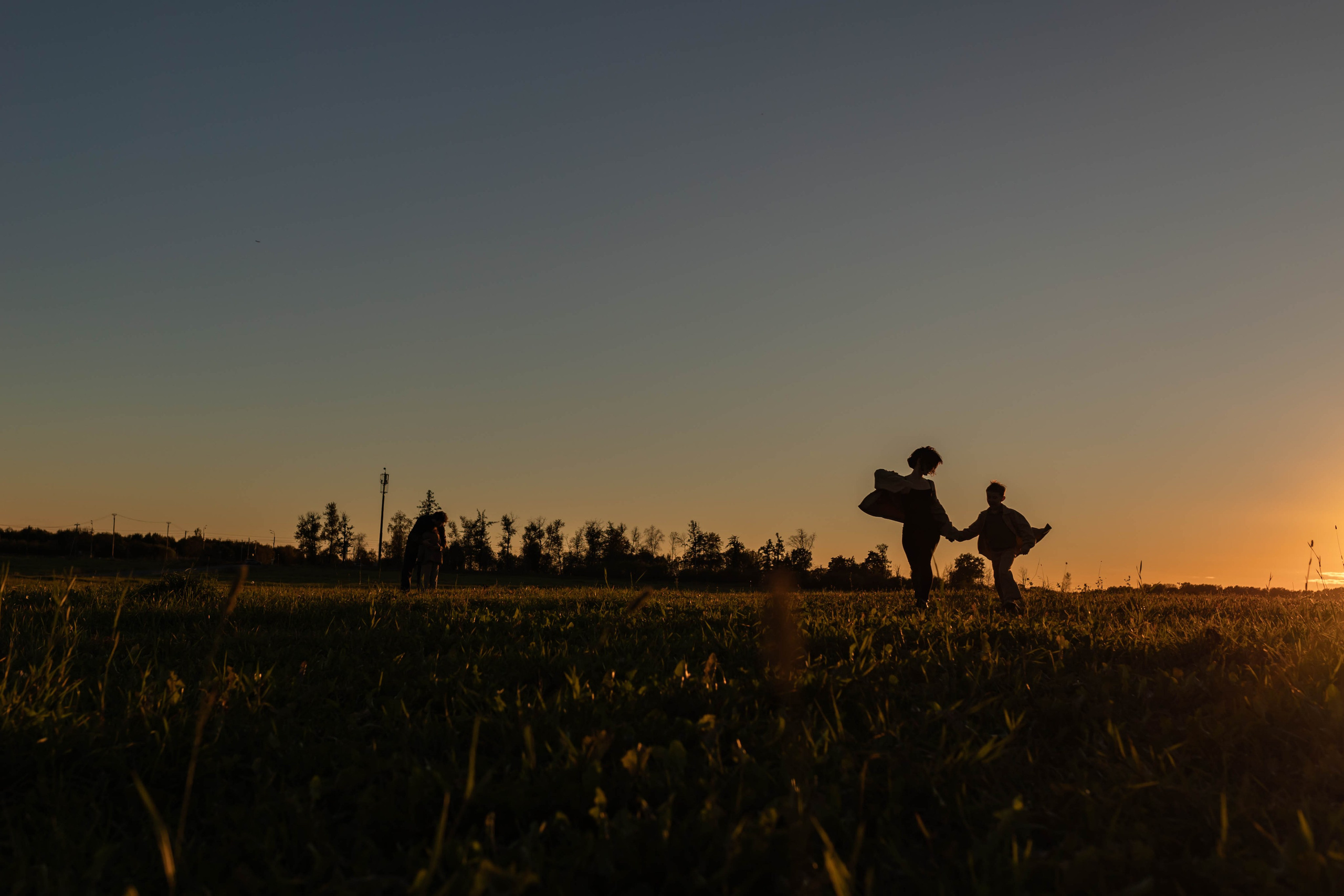 Дуб и клён. Семейный фотограф в Санкт-Петербурге Любовь Савкина