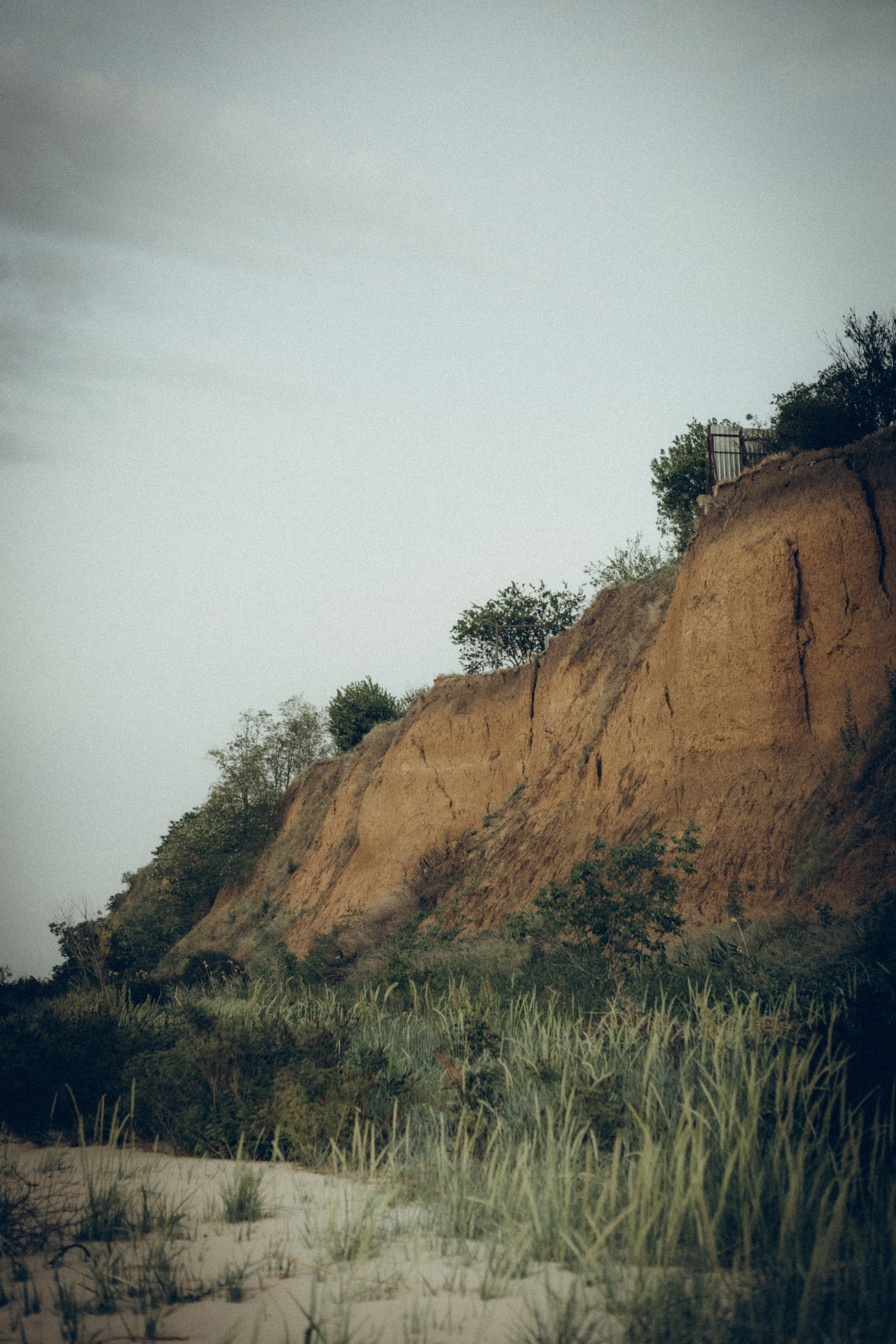 Виктория & Денис. Семейный фотограф и фотограф на роды в Ростове-на-Дону Мухина Виктория