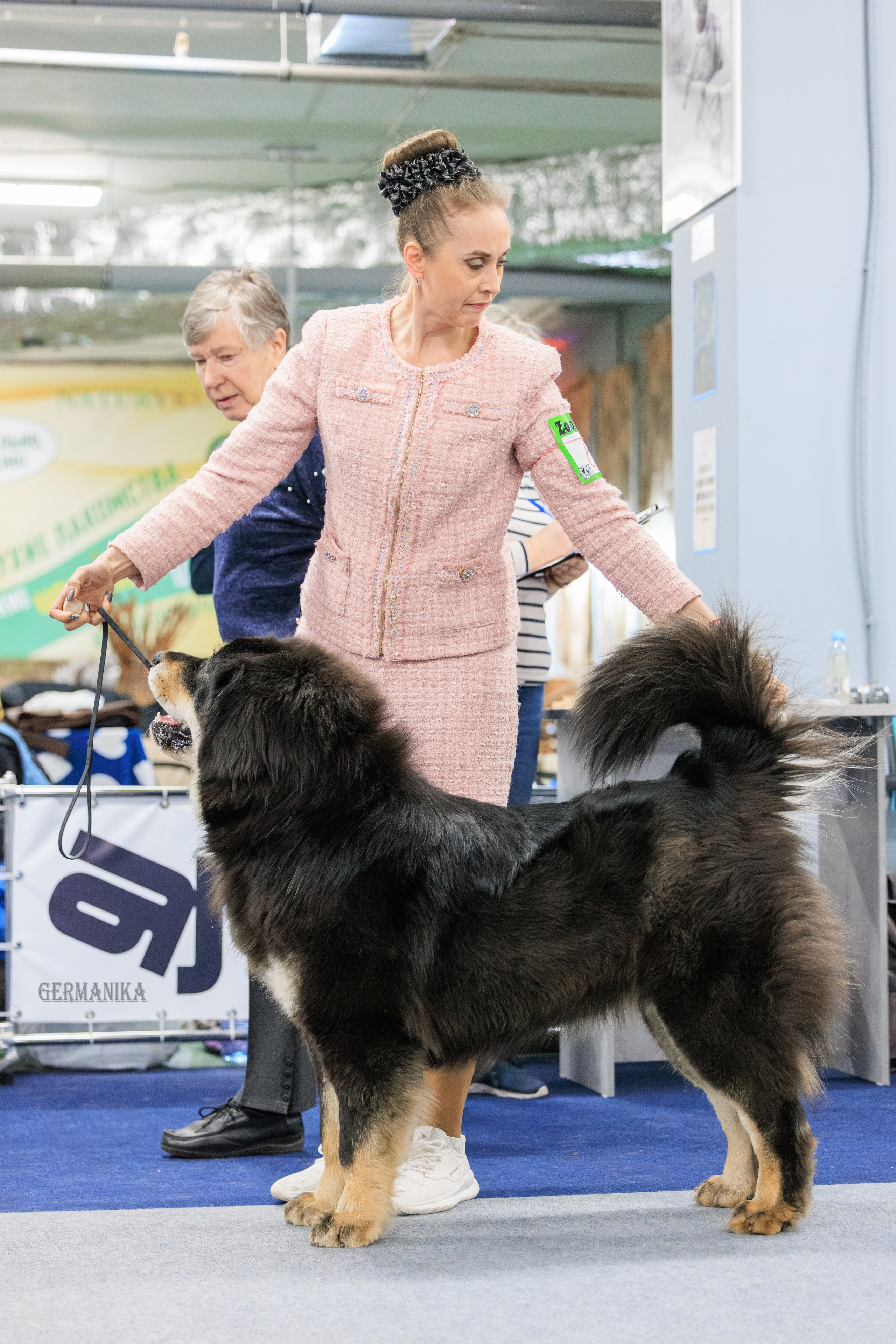 Сфера 08 и 10.03.2024 2хмоно ротвейлеров+2хмоно сао. Фотограф-анималист Юлия Германика