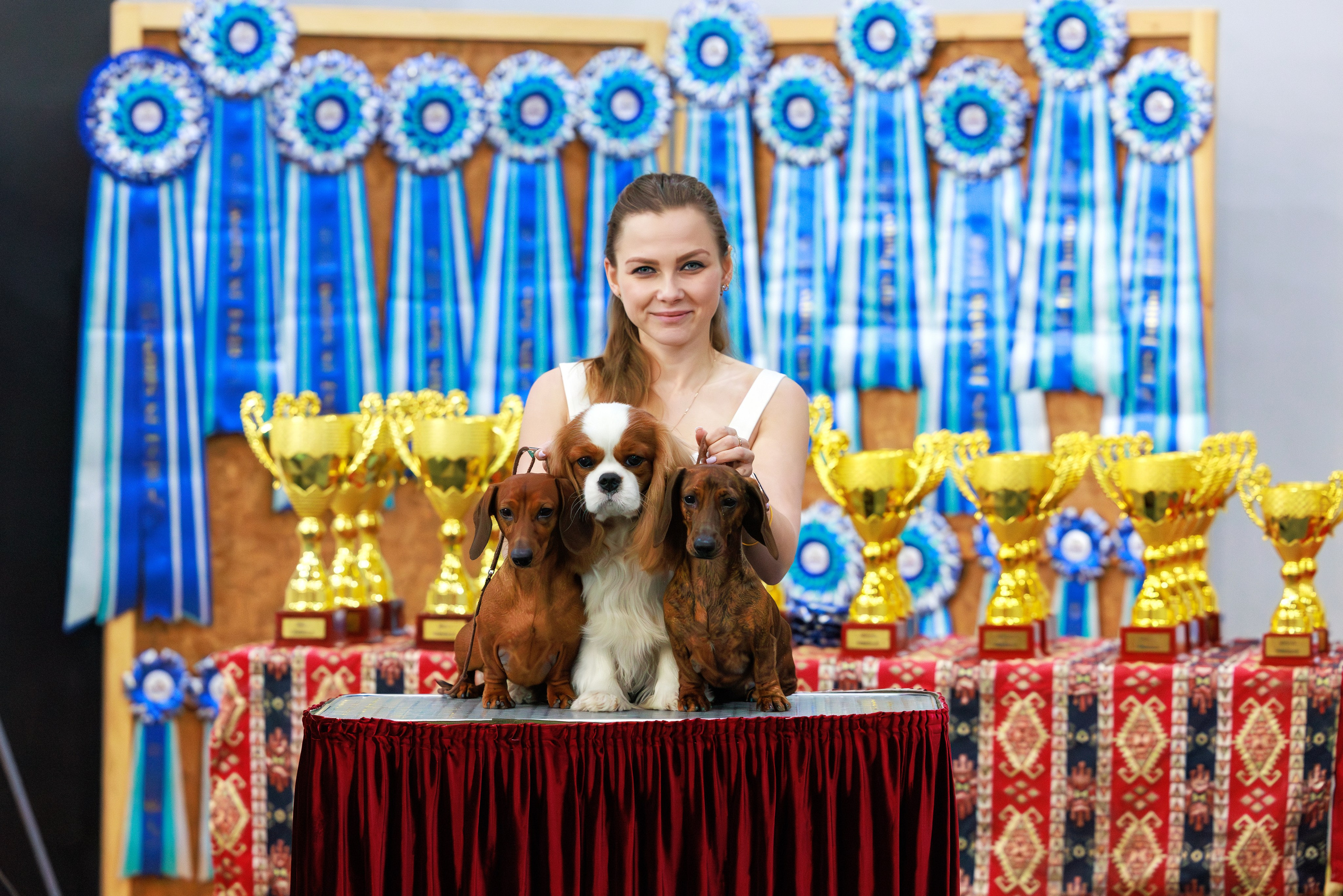 Ереван 2х CACIB 29-30.04.2025. Фотограф-анималист Юлия Германика