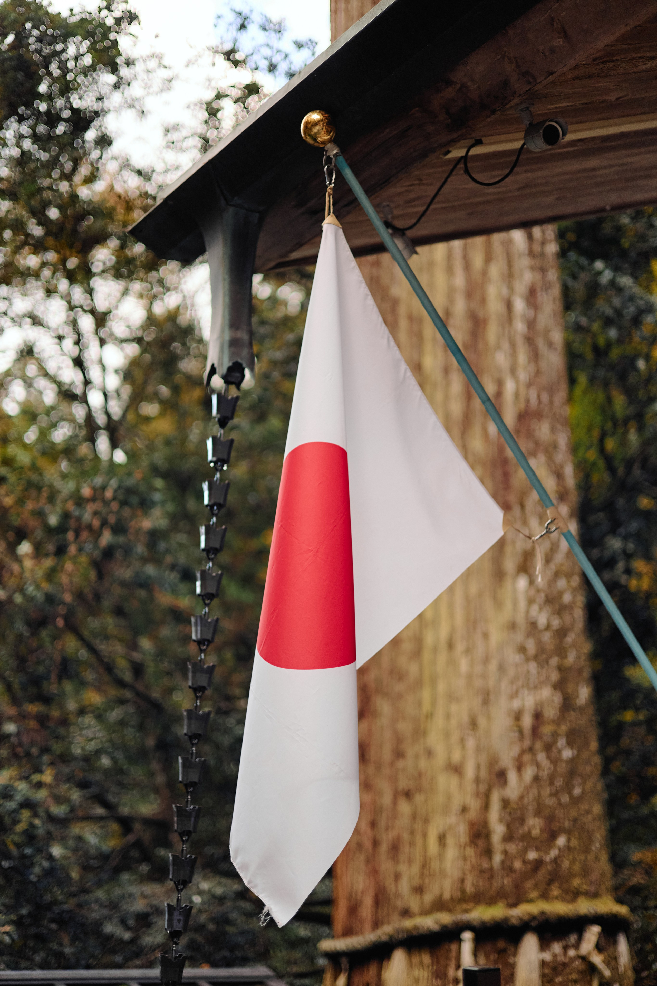 Япония. Профессиональный Фотограф во Владимире, в Москве и в Суздале — Полина Романычева