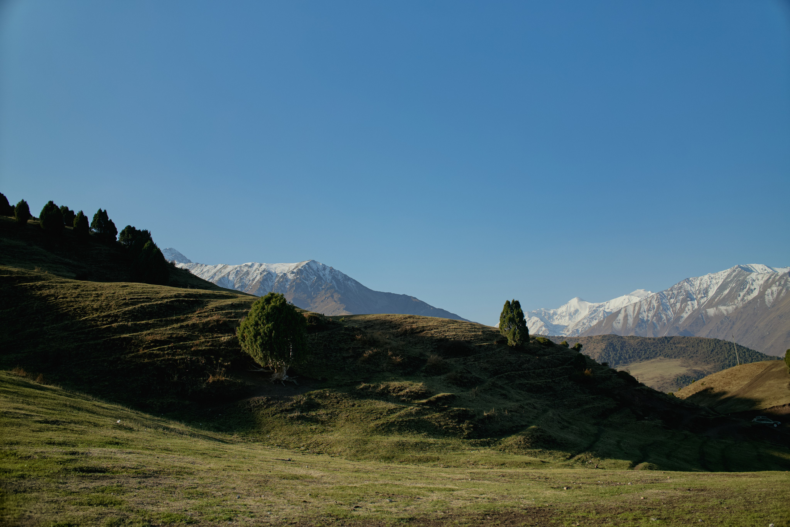 Кыргызтан. Профессиональный Фотограф во Владимире, в Москве и в Суздале — Полина Романычева