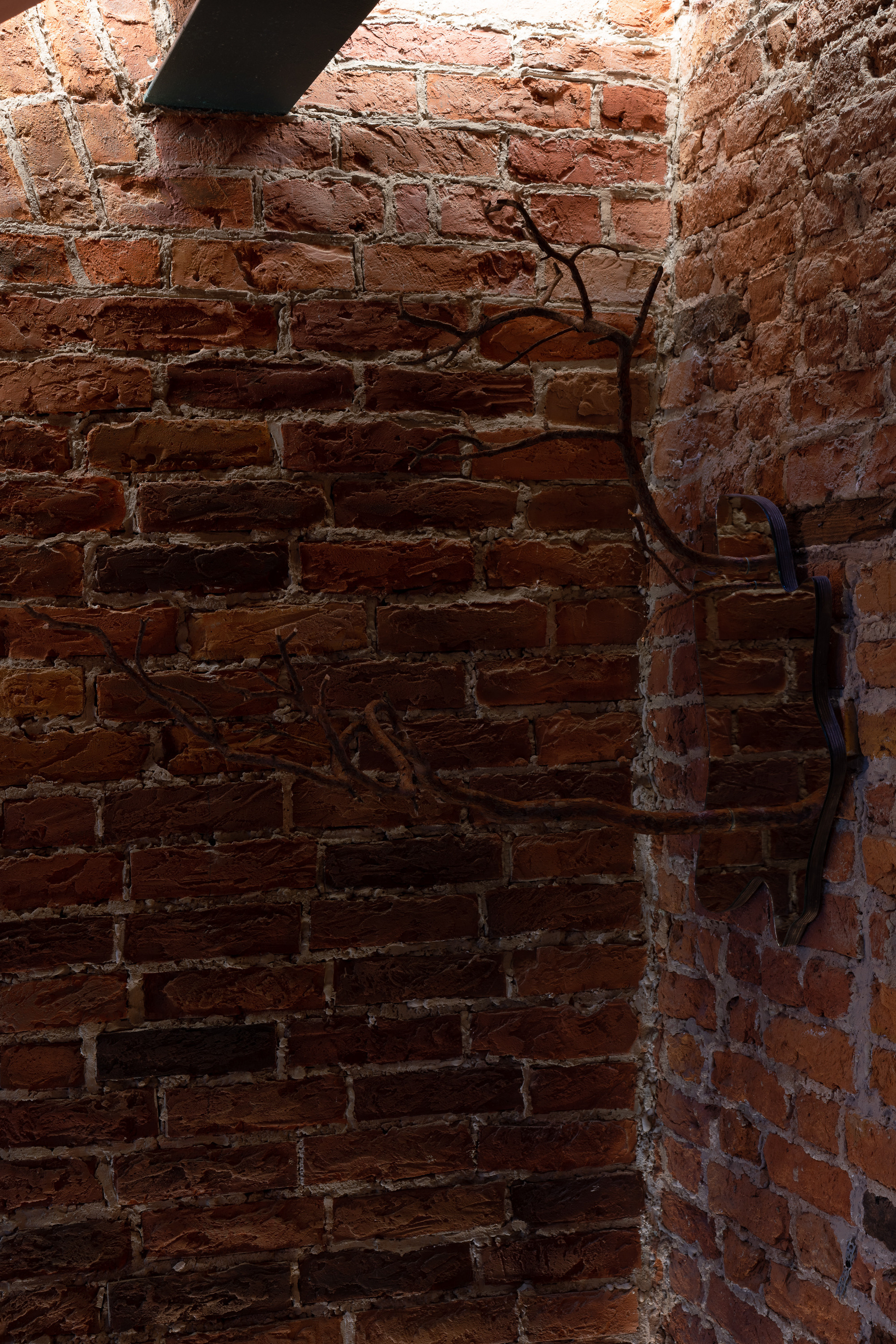 Housekeeping. Anna Zavediy