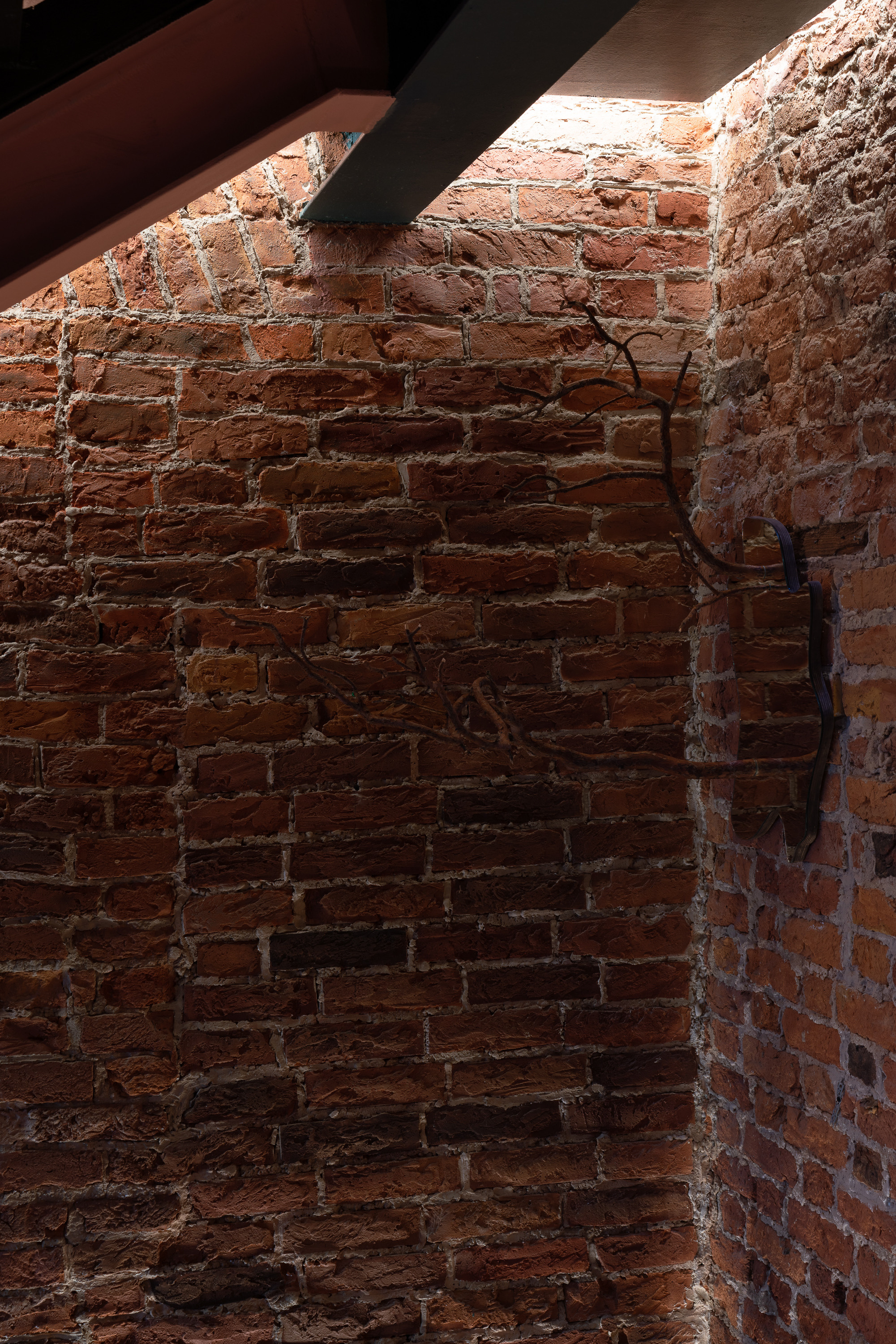 Housekeeping. Anna Zavediy