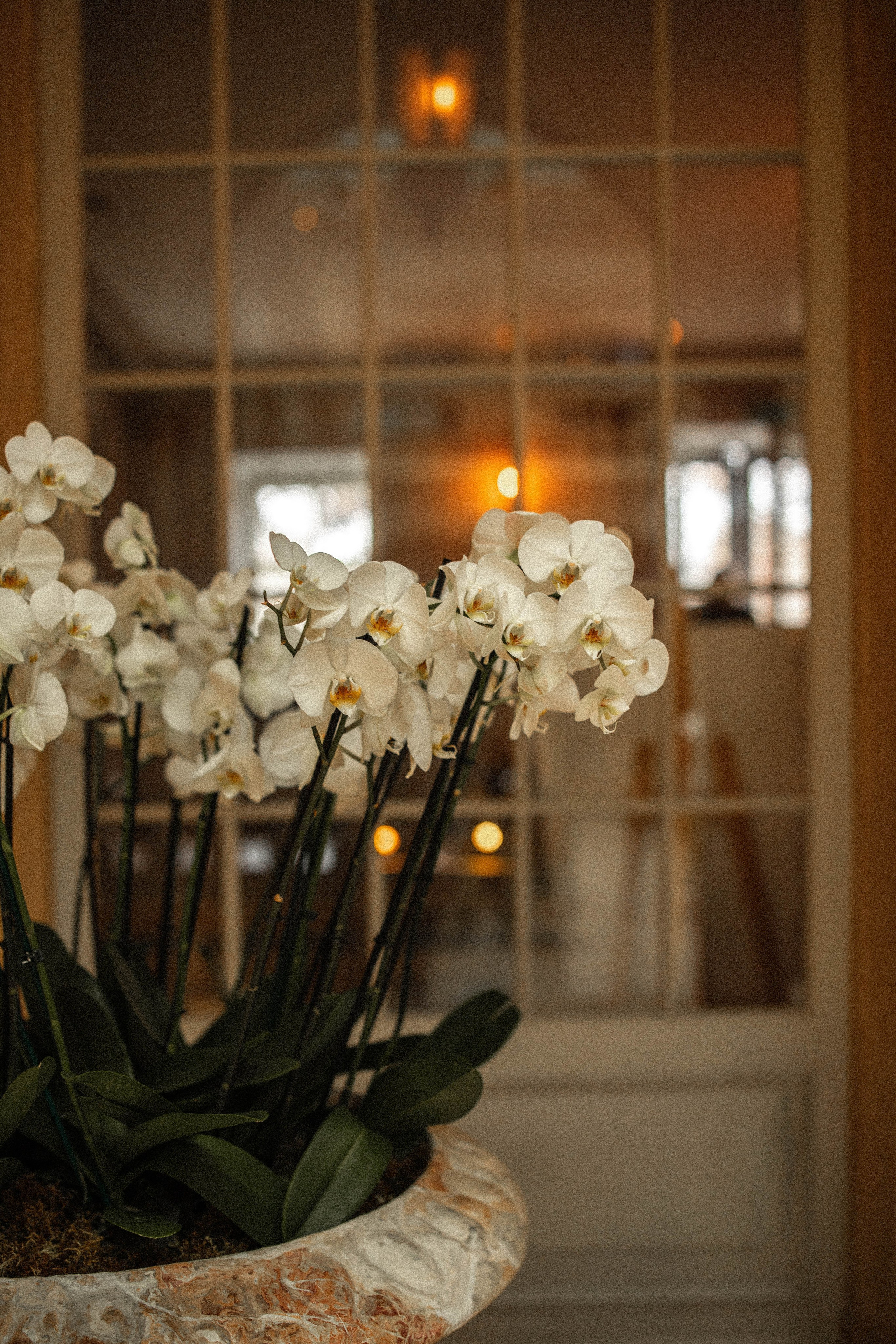 Ксения и Дмитрий. Профессиональный фотограф