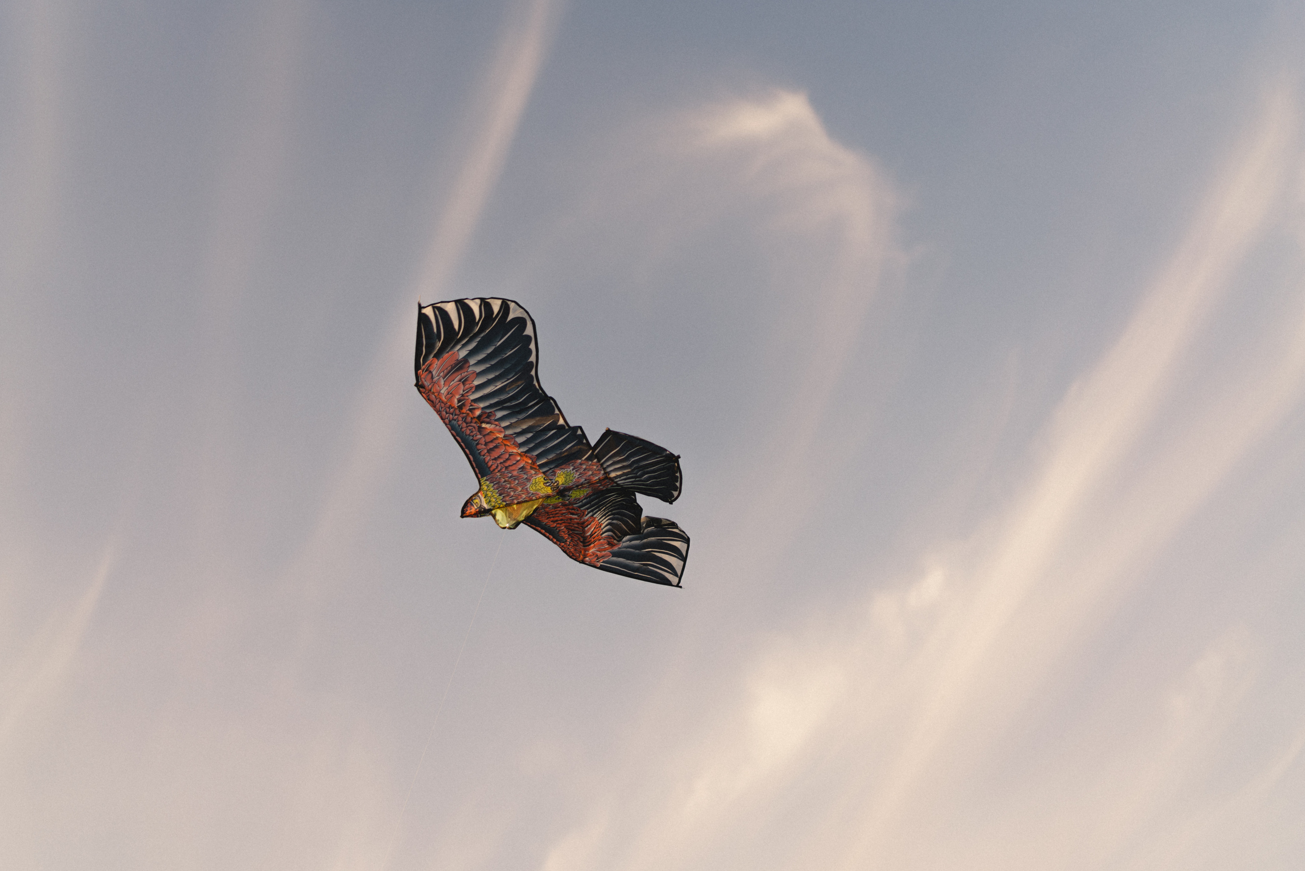 Семья. Фотограф Анна Кобазева, Москва