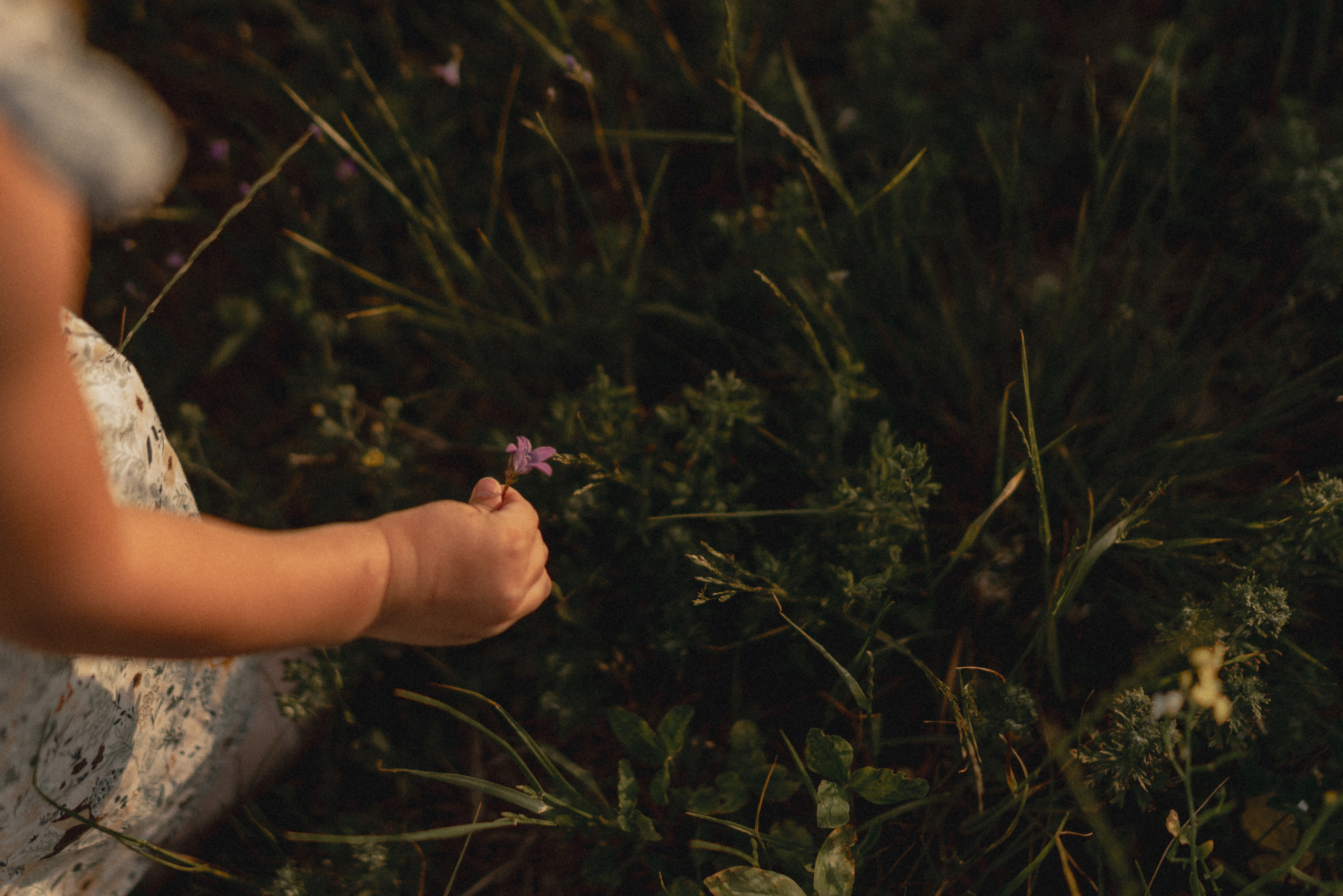 Семья. Фотограф Анна Кобазева, Москва