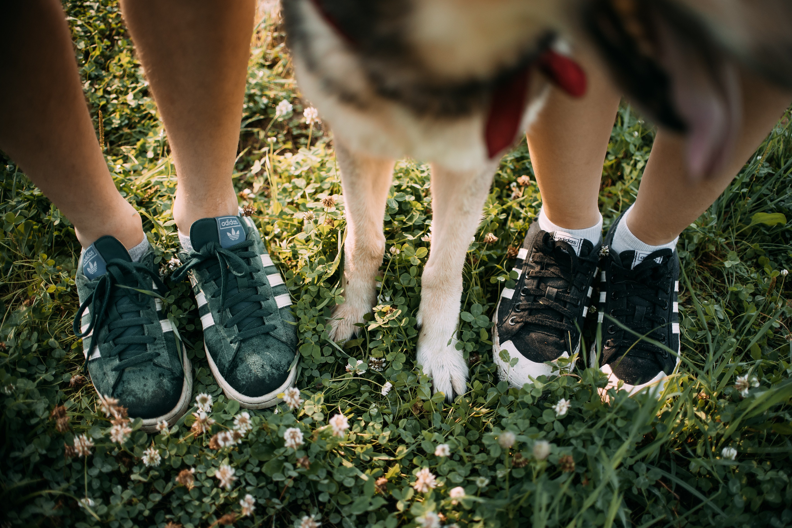 Фотограф-анималист Валерия, Москва, Мытищи